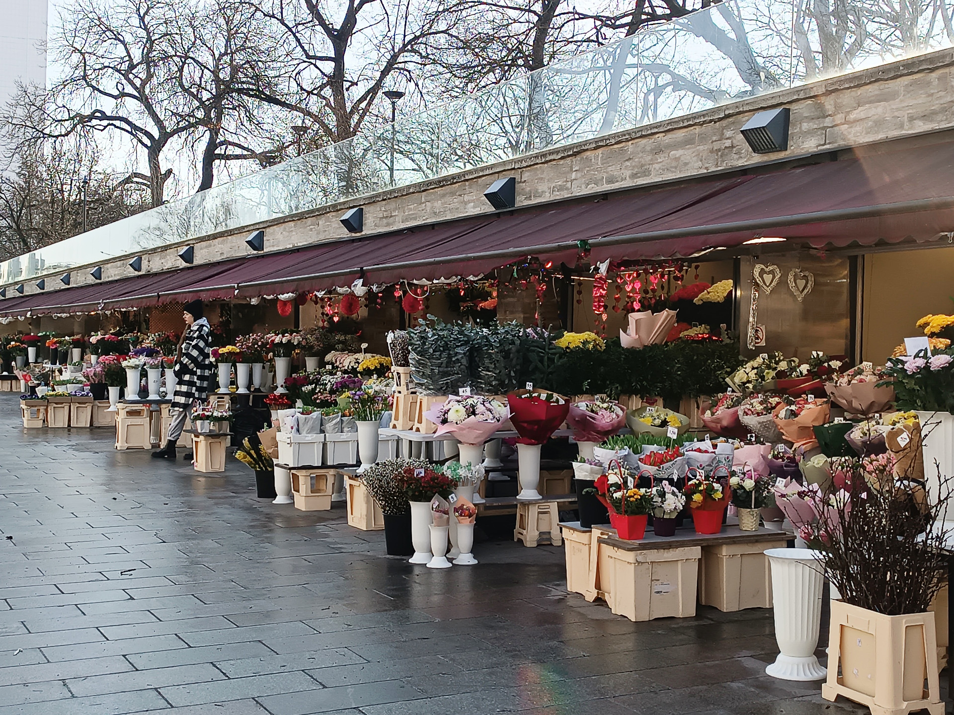 昼の旧市街と夜の旧市街。明け方と夜は特にフォトジェニック