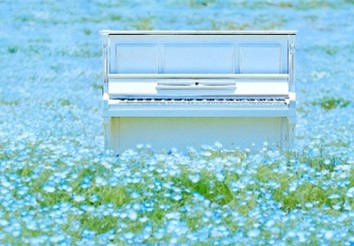 ネモフィラ畑に設置するストリートピアノは自由に演奏可能