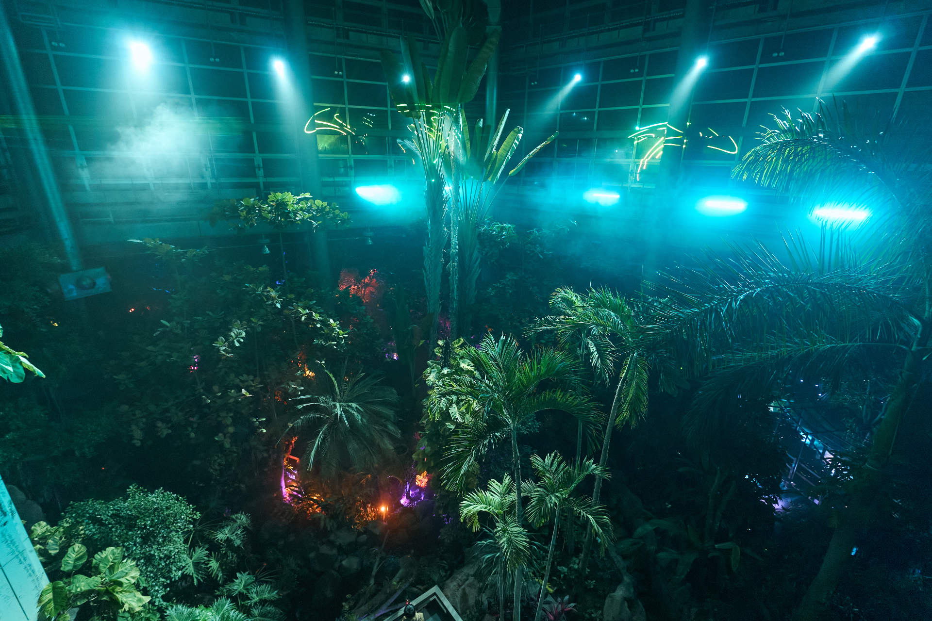 毎夜開催する熱帯植物館ライトアップショーも楽しめる