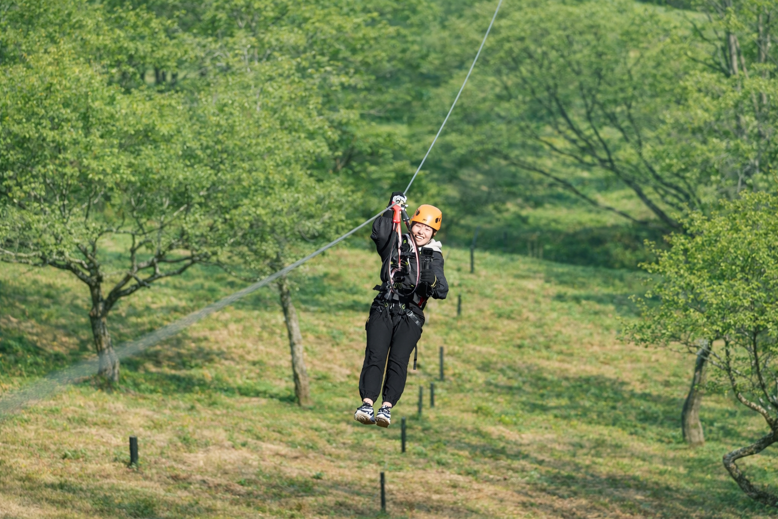 自然アクティビティ（有料）は、全長150mの爽快ジップラインや木の上アスレチックなど