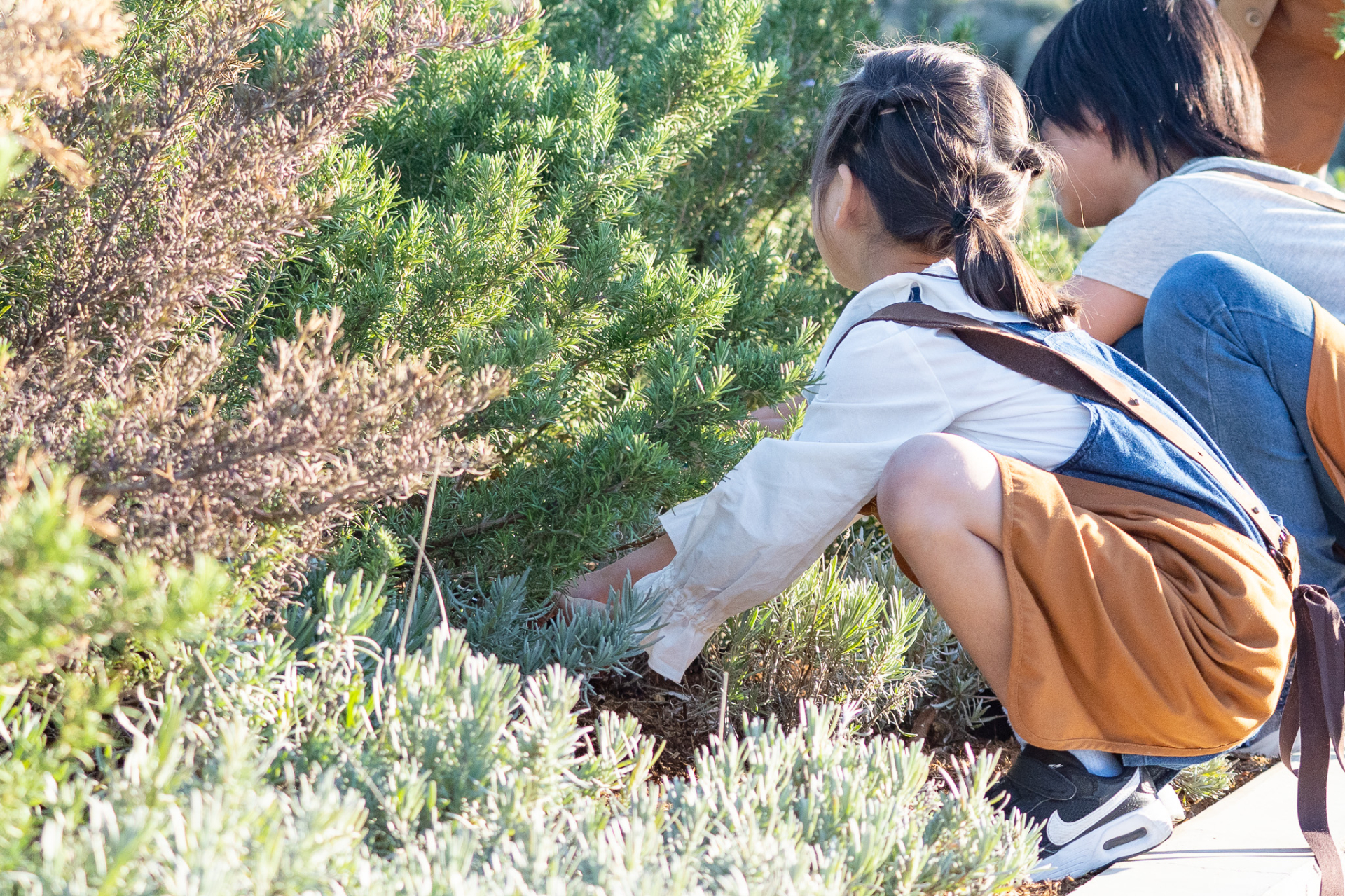 「ガーデナーのおしごと体験」（1000円）