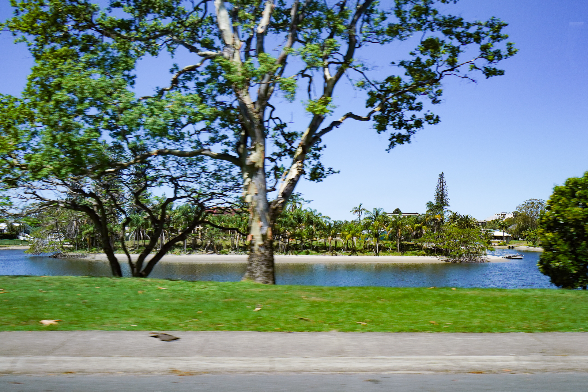 周辺道路を走っていても、あちこちで運河に遭遇する