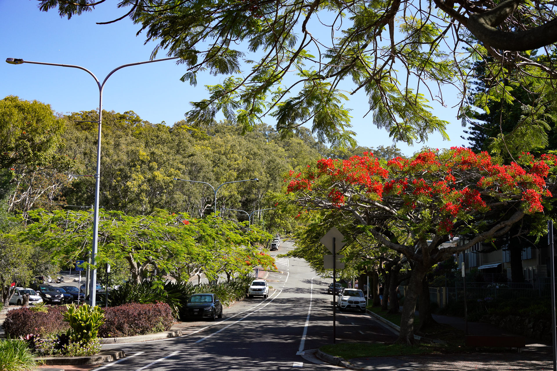 内陸側に目をやると、自然が豊か