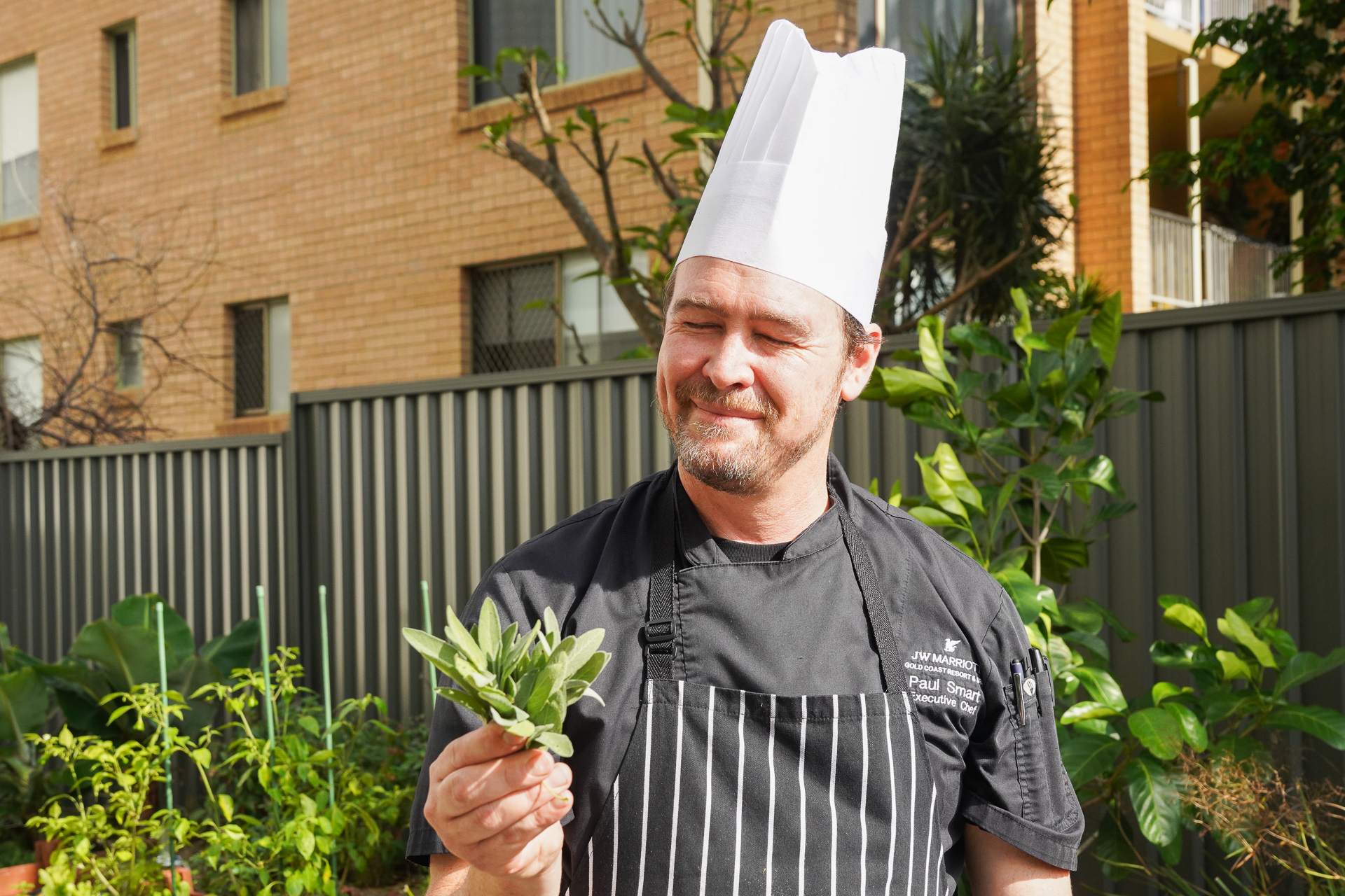 JWマリオット・ゴールドコースト・リゾート＆スパのエグゼクティブシェフのポール・スマート氏。ホテル内の「JW・ガーデン」で料理に使うハーブを摘んでいるところ