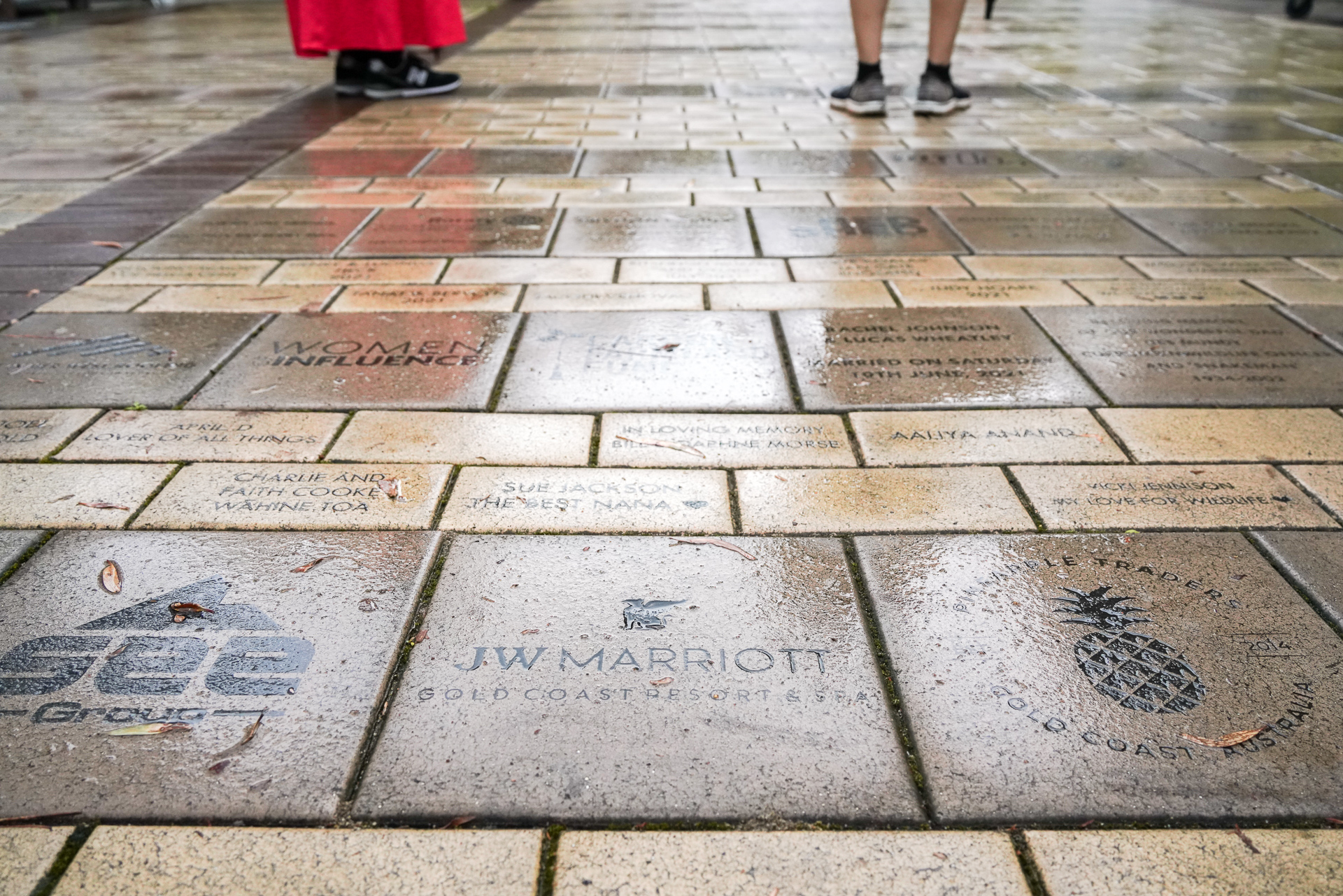 さまざまな個人や企業からの寄付で成り立っている。「JWマリオット・ゴールドコースト・リゾート＆スパ」もスポンサーとなっている