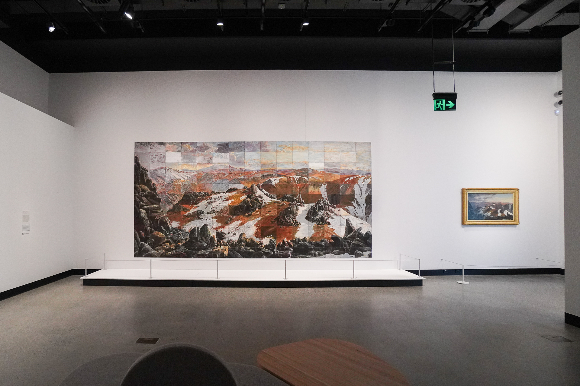 オーストラリアの画家Imants Tillersの作品