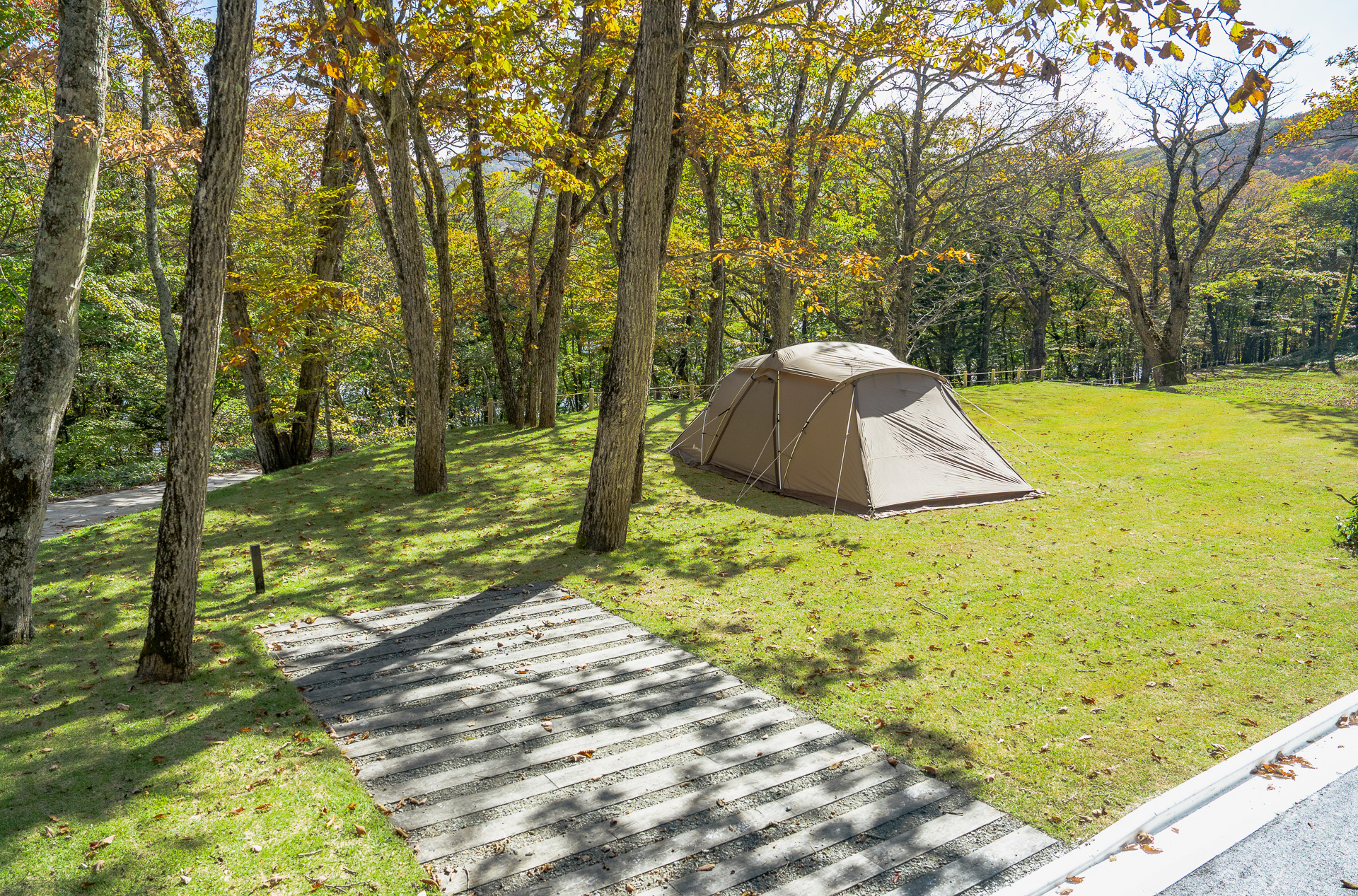 73区画のオートサイト（打ち電源付きは28区画）