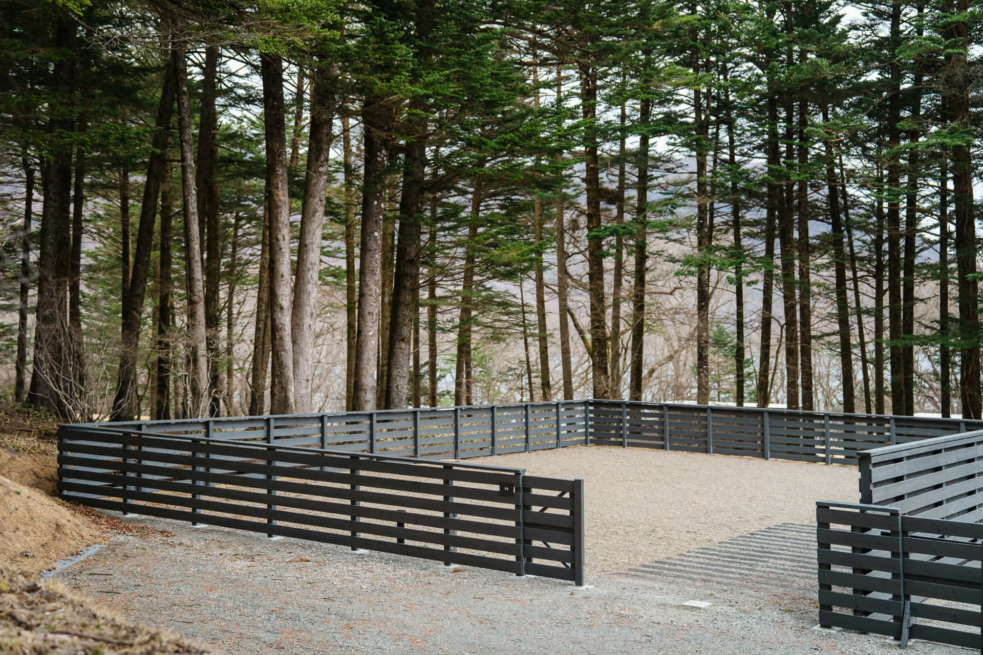 8区画のドッグランサイト