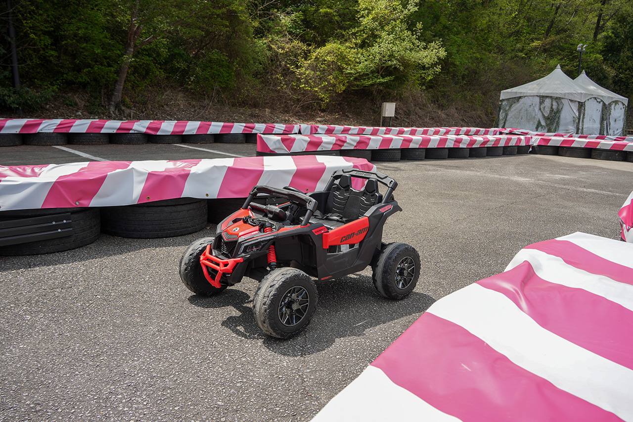 バギーを体験できない3歳以上10歳未満のために、初導入