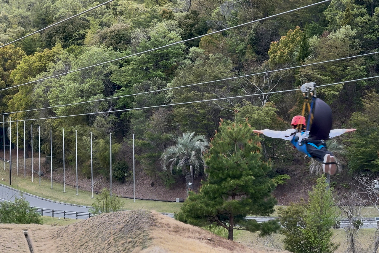 安定感抜群。鳥になった気分！