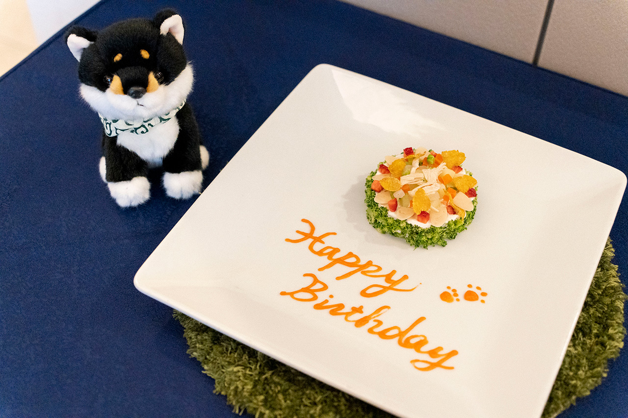 オプションでワンちゃんケーキを注文可