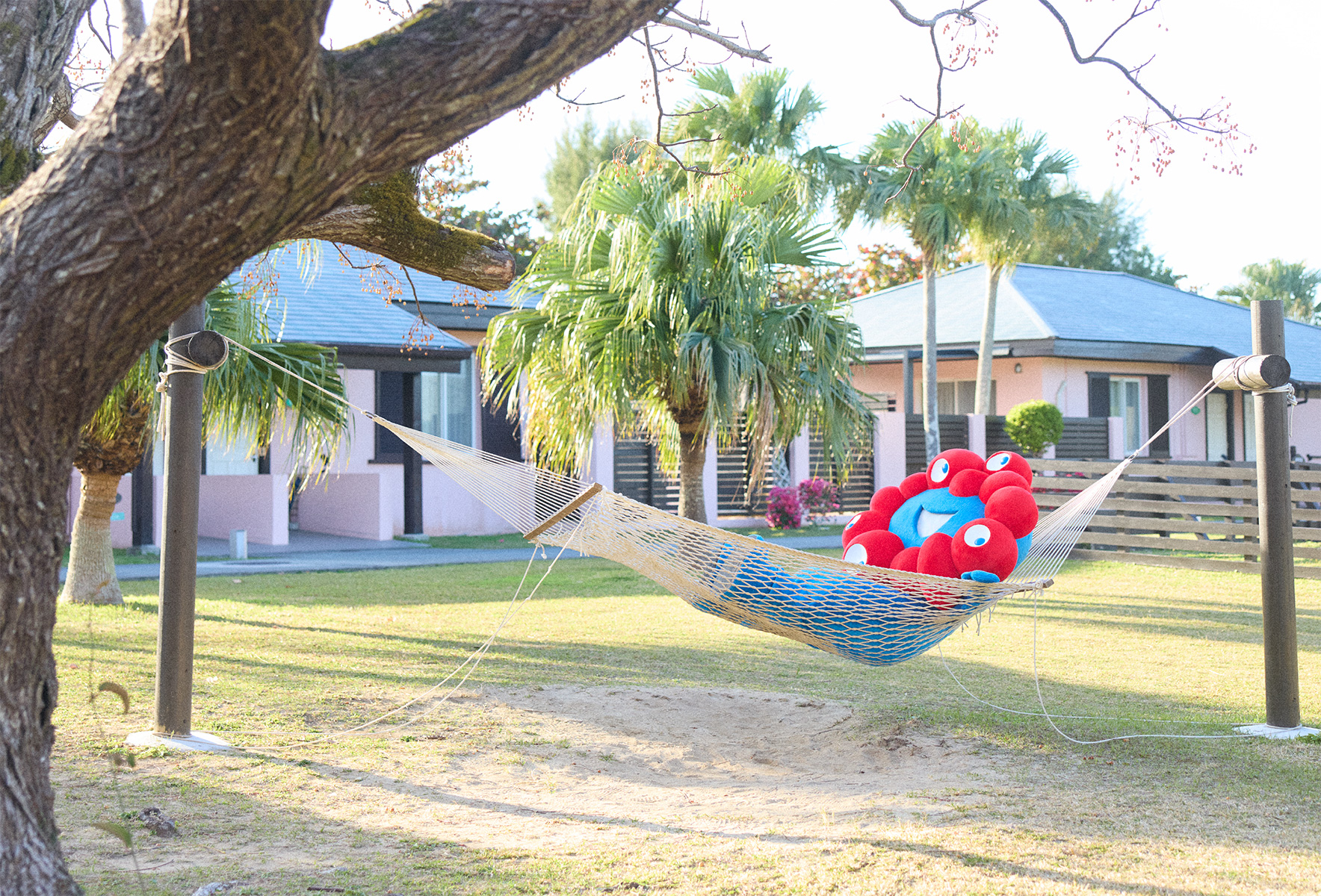 公開中の先行カット。ビーチでの決めポーズ、寝起き姿やハンモックでくつろぐシーンも