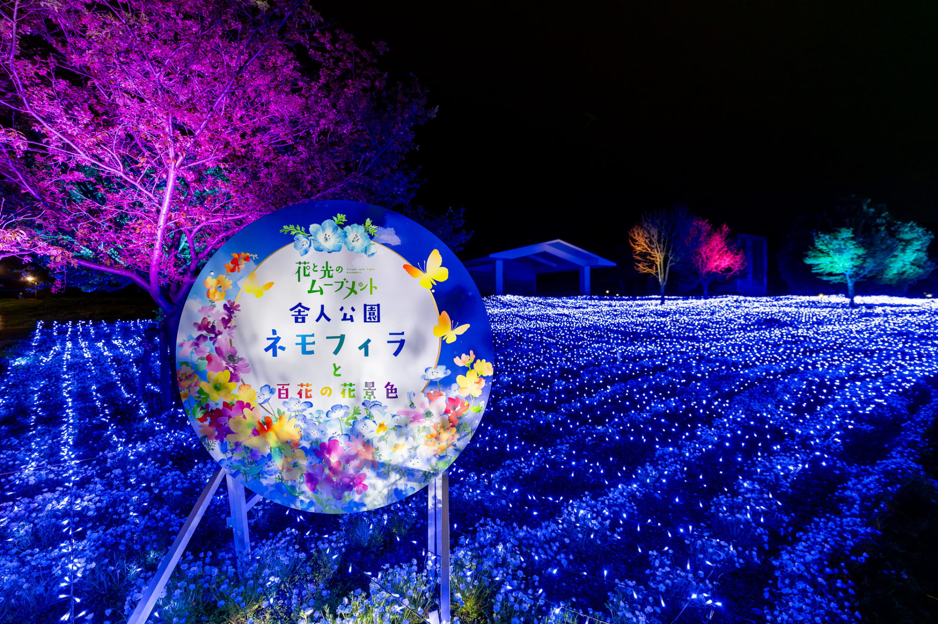 東京都主催「花と光のムーブメント」の一環。四季の花と光の演出で、公園の新しい楽しみ方を提案する。入場は無料