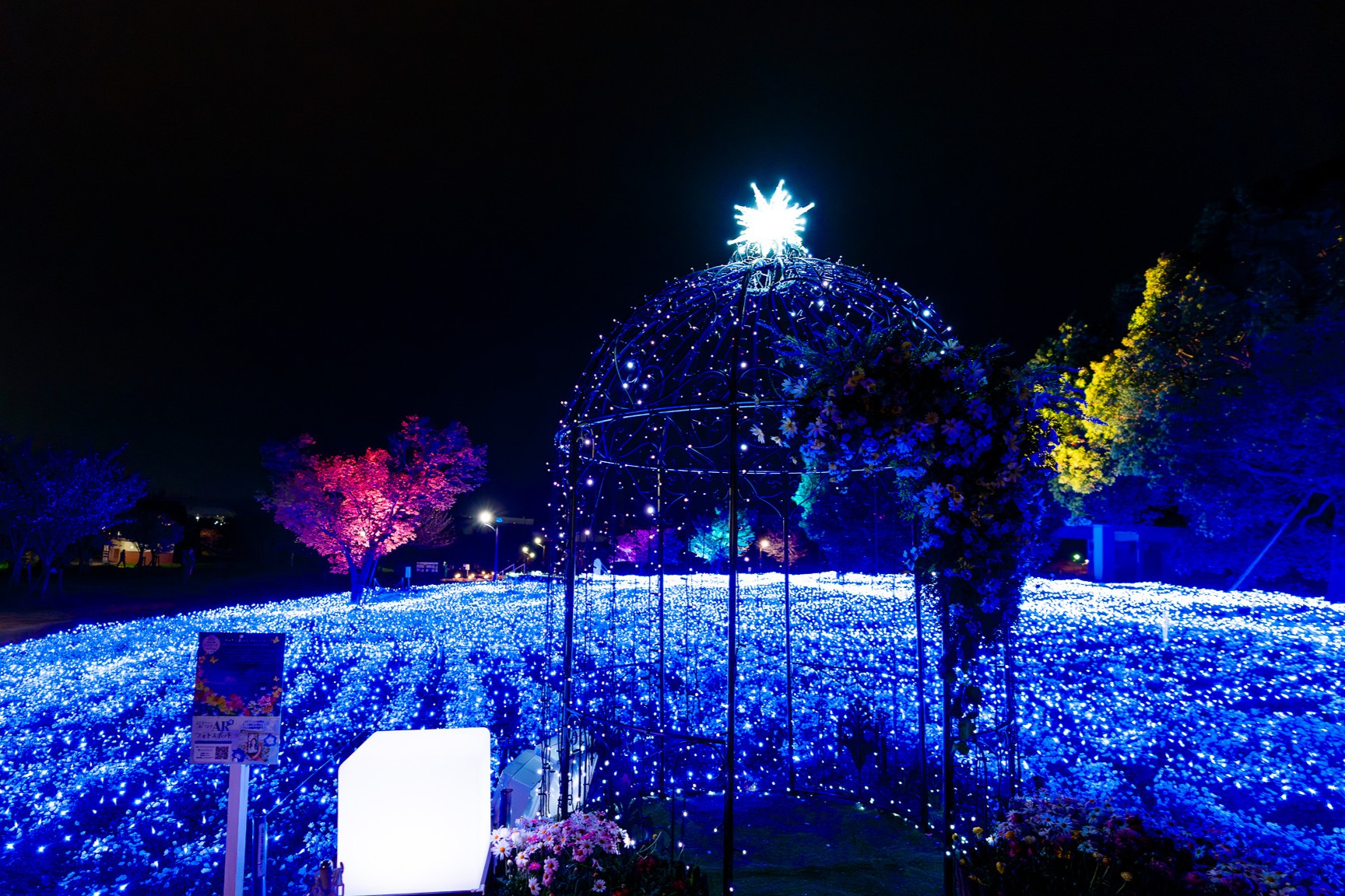 ドームパーゴラ前に設置されたボックスに触れることで、光の動きがランダムに変化