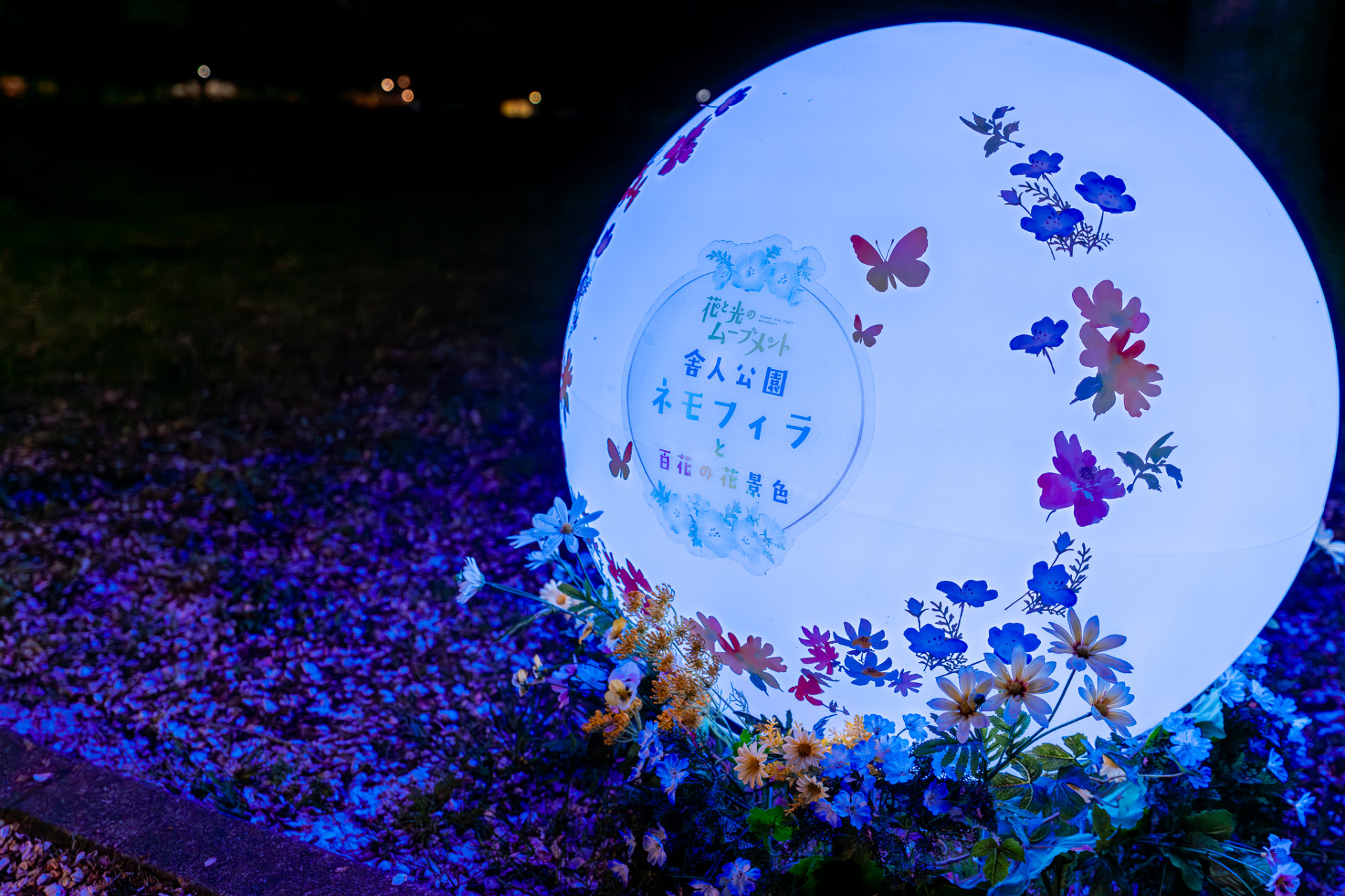 ランダムに色が変化する丸いライト。昼間は造花のアレンジメントがかわいいフォトスポットに