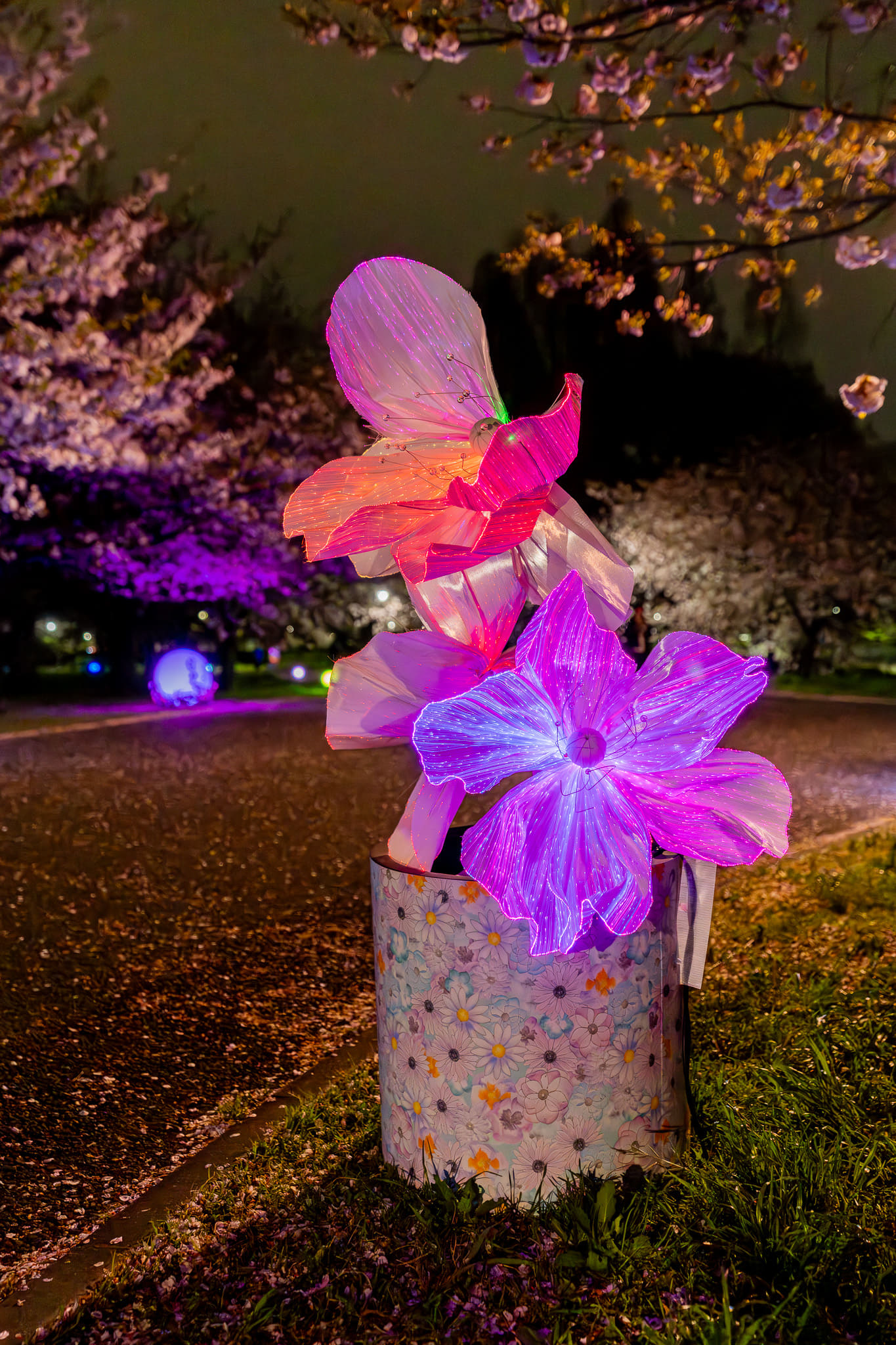ネモフィラ花壇へ続く途中の道に現われる、花のかたちの光るオブジェも隠れフォトスポットとして人気