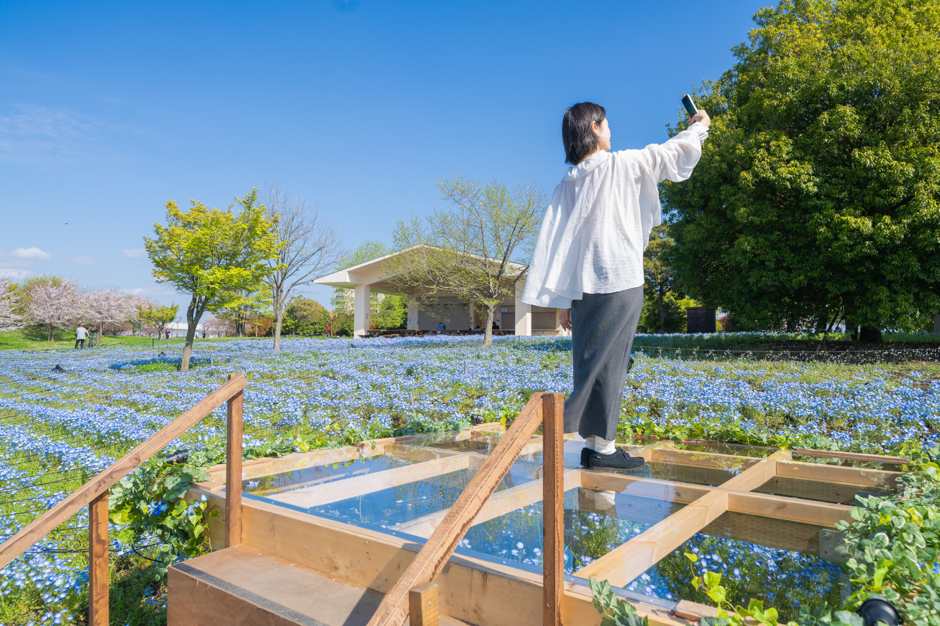 昼間も春の花々とフォトスポットを楽しめる