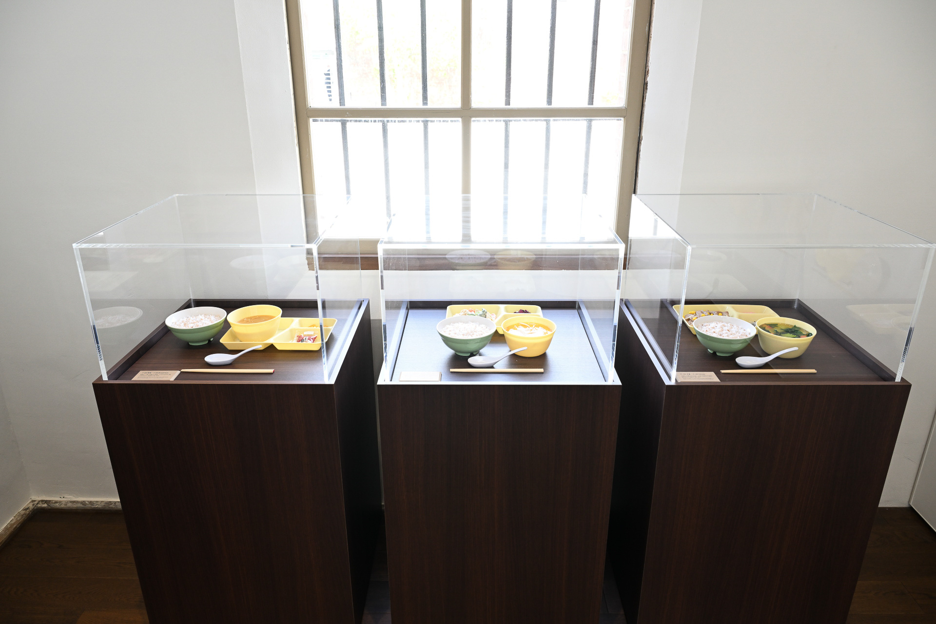 決められた食事の内容や量の一例