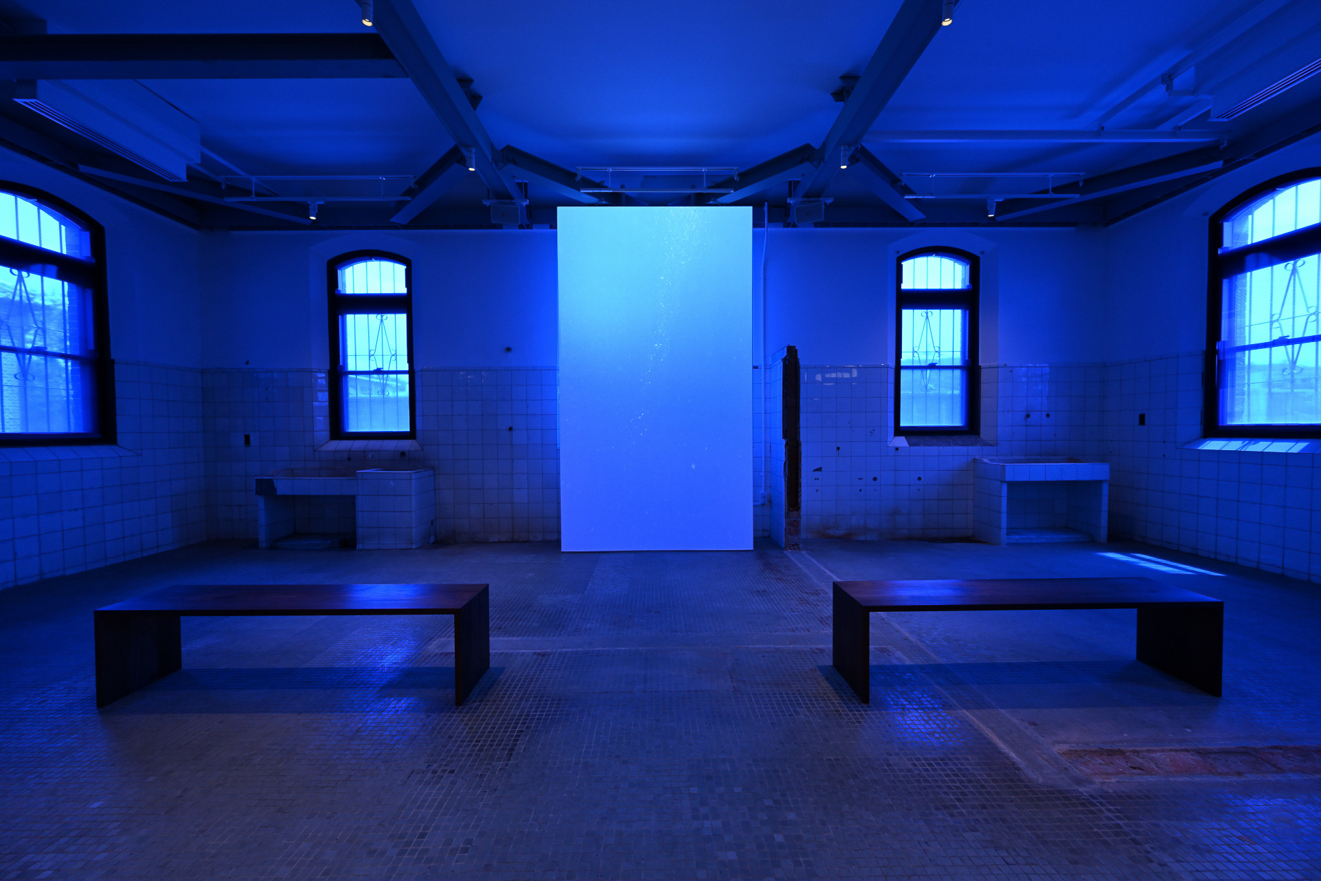 C棟では5組のアーティストによる作品を展示する。