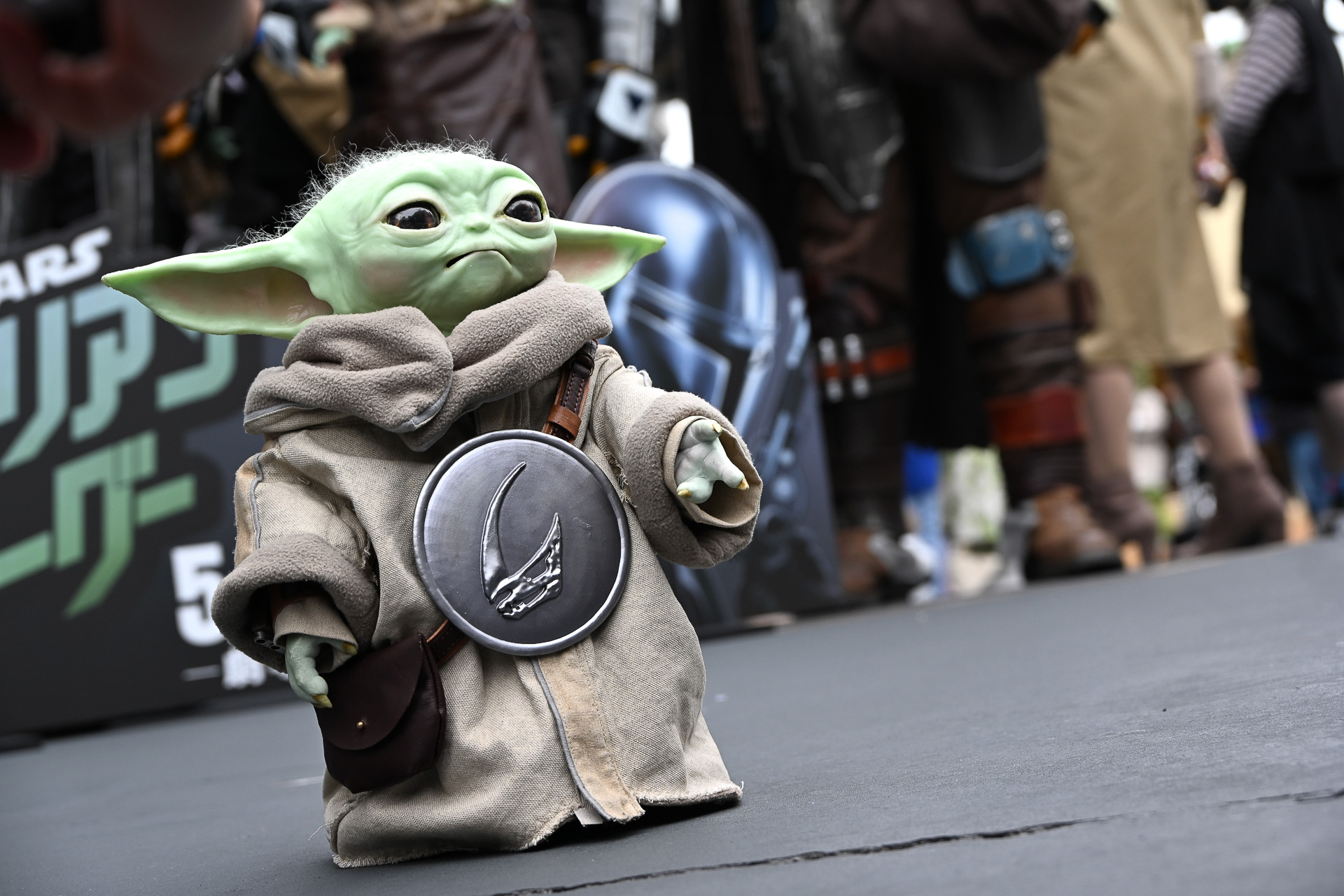 ゲストが一緒に来園したグローグーの姿も