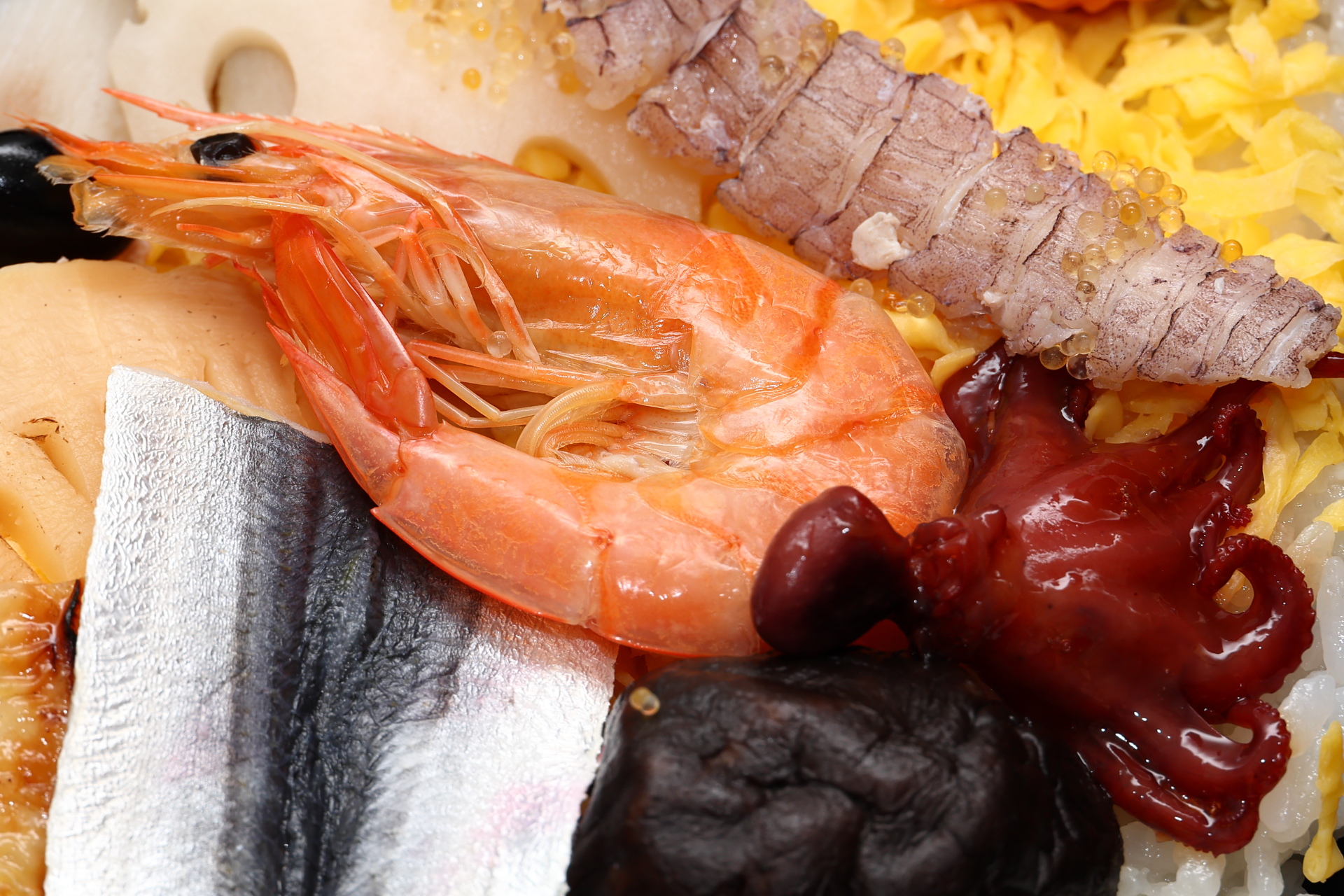 いいだこの醤油煮、えび煮