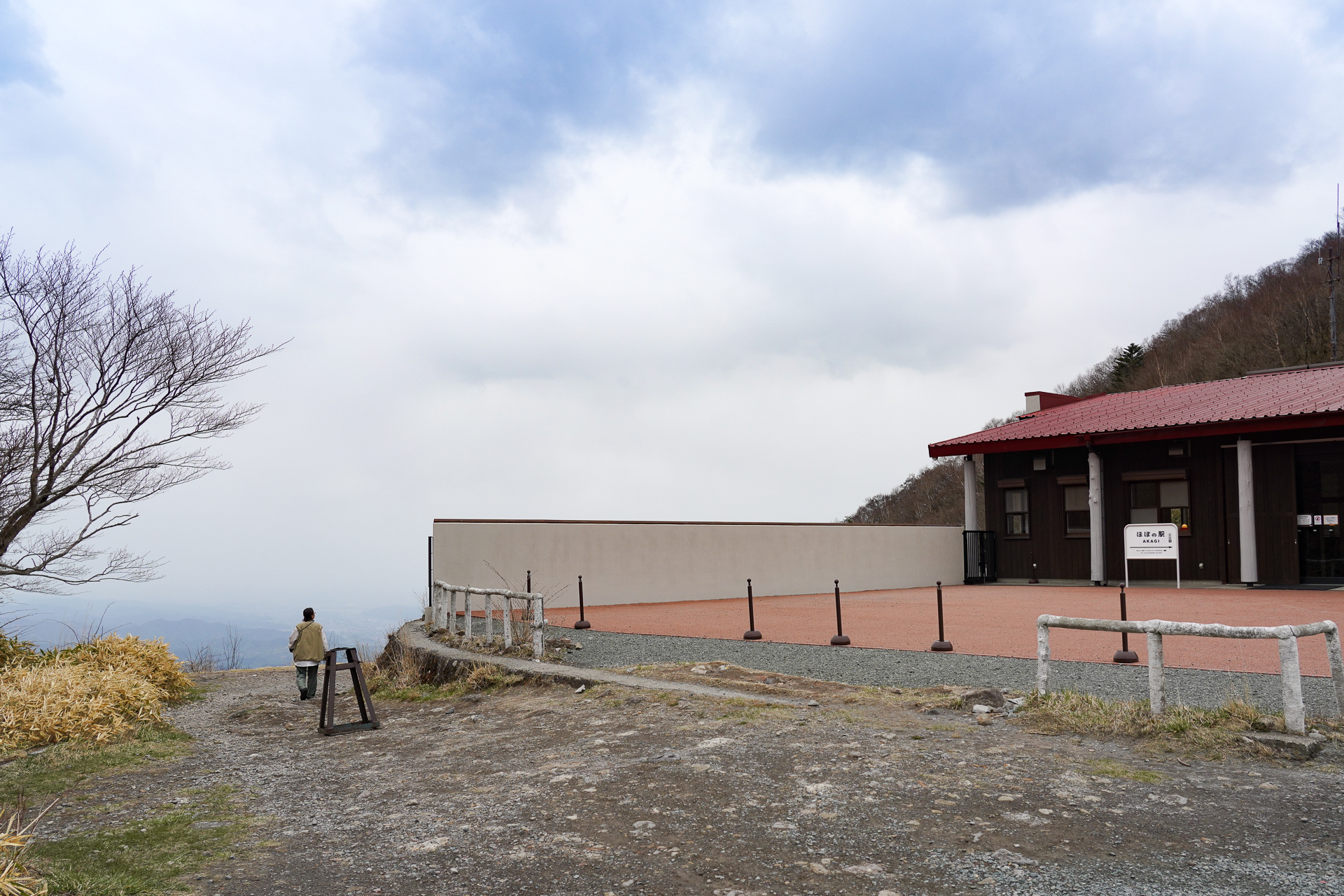 左側に回ってみると……