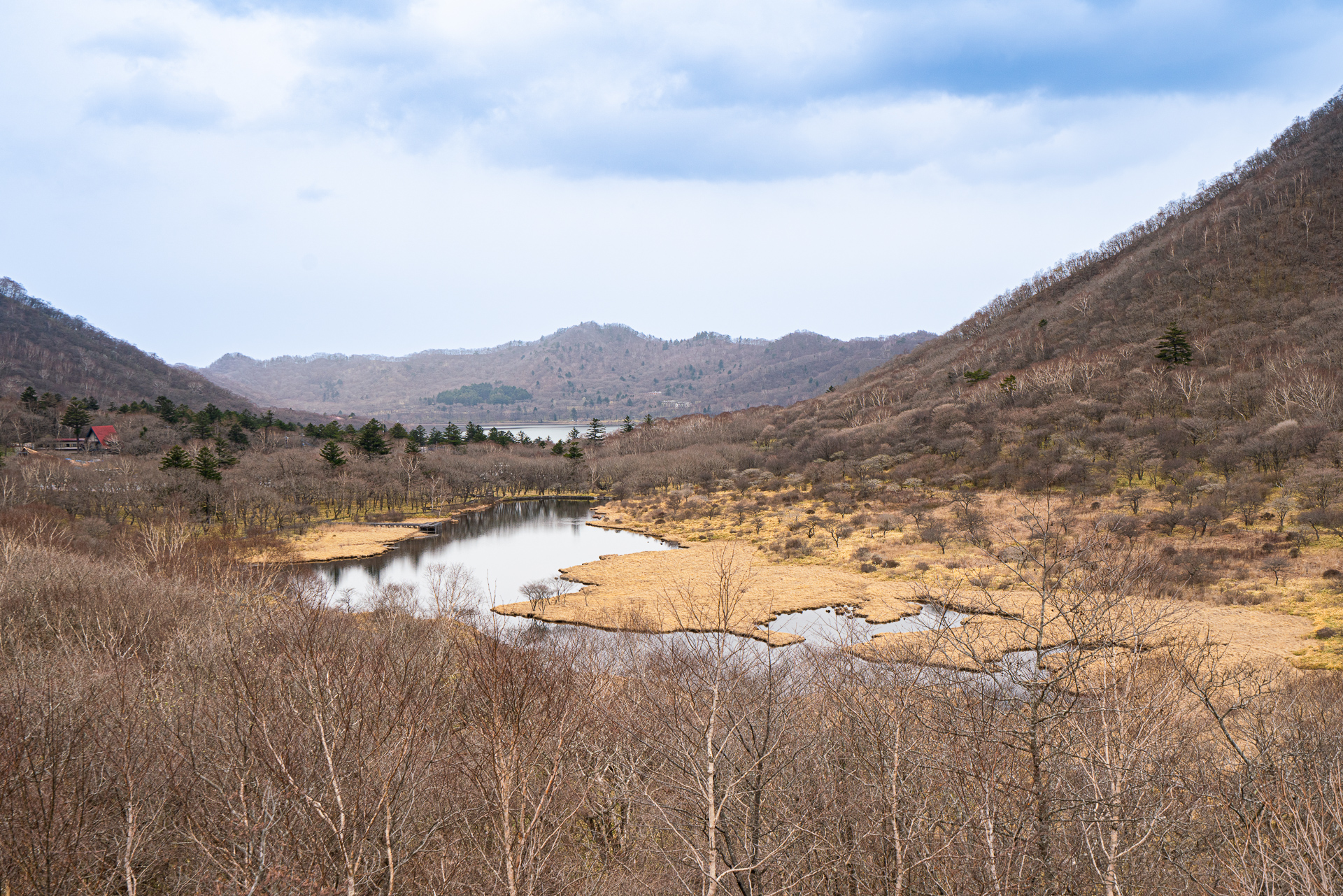 駐車場から大沼方面の眺めも絶景