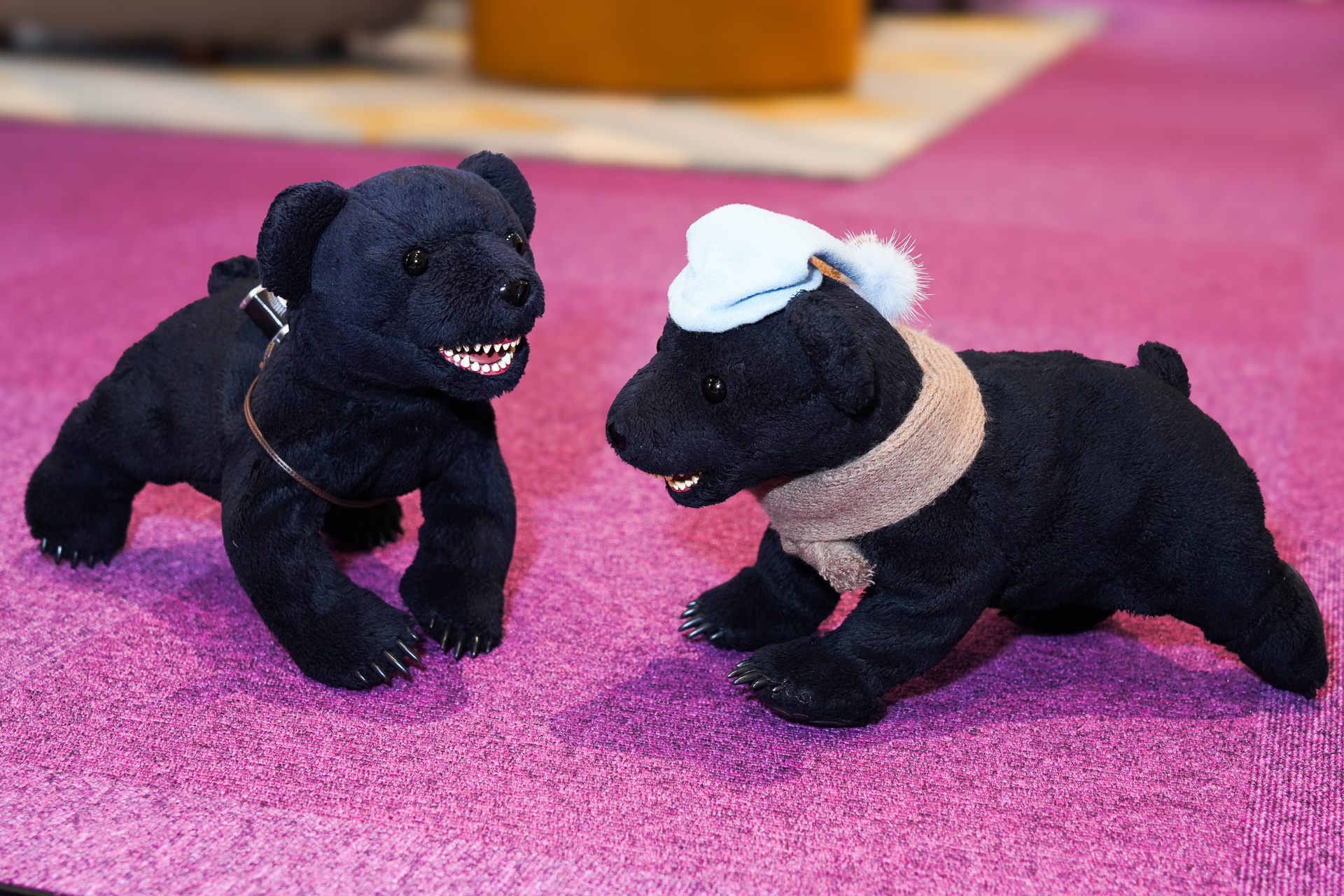 ほぼ日の熊のキャラクター「ほぼ日のくま」と「ねむれないくま」