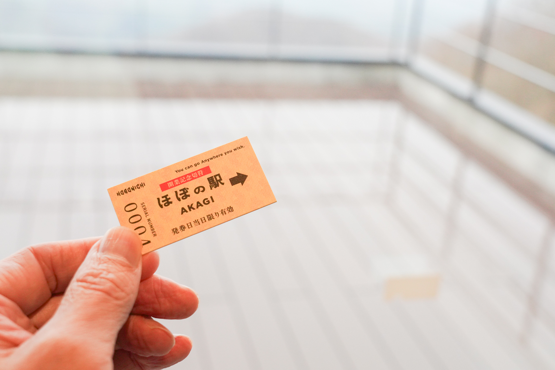 「開業記念きっぷ」