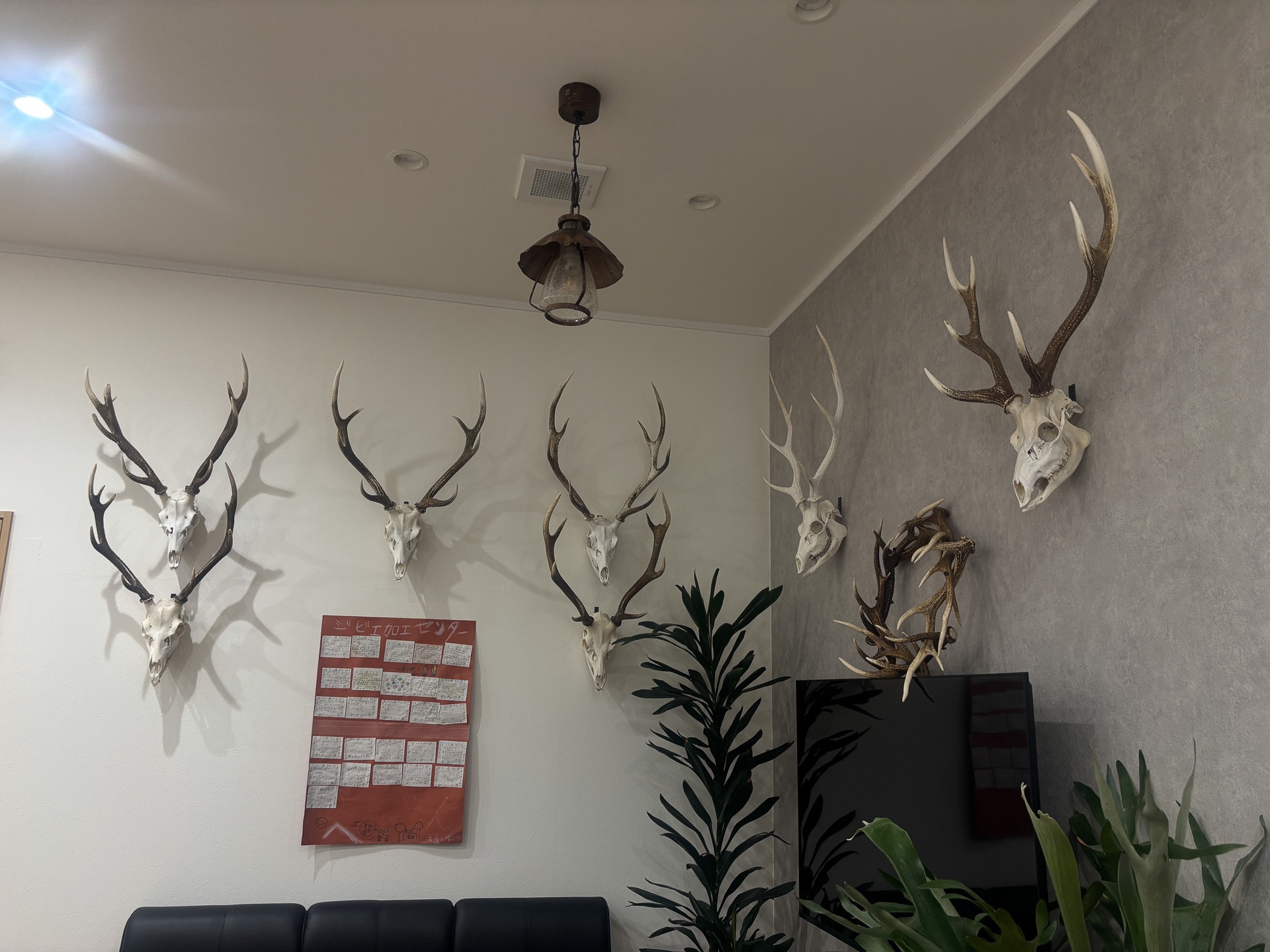 信州高遠ジビエセンター