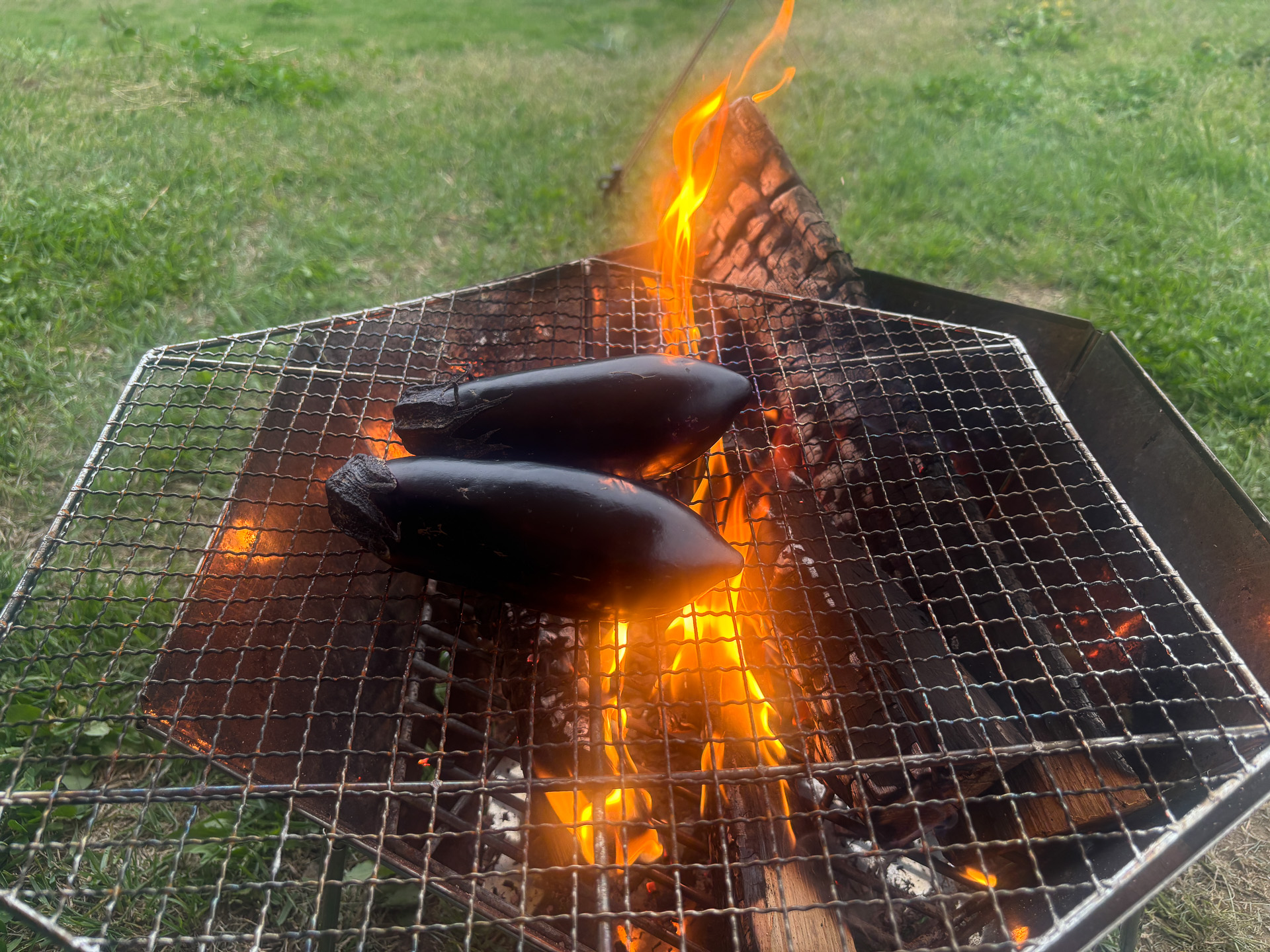 焼き茄子ファイヤー