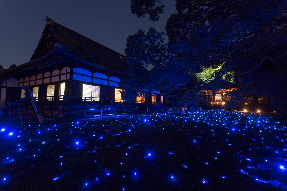 青蓮院門跡のライトアップ（秋）