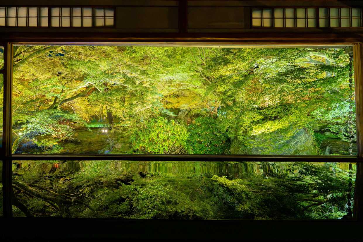 宝厳院「青もみじのリフレクション（逆さもみじ）」