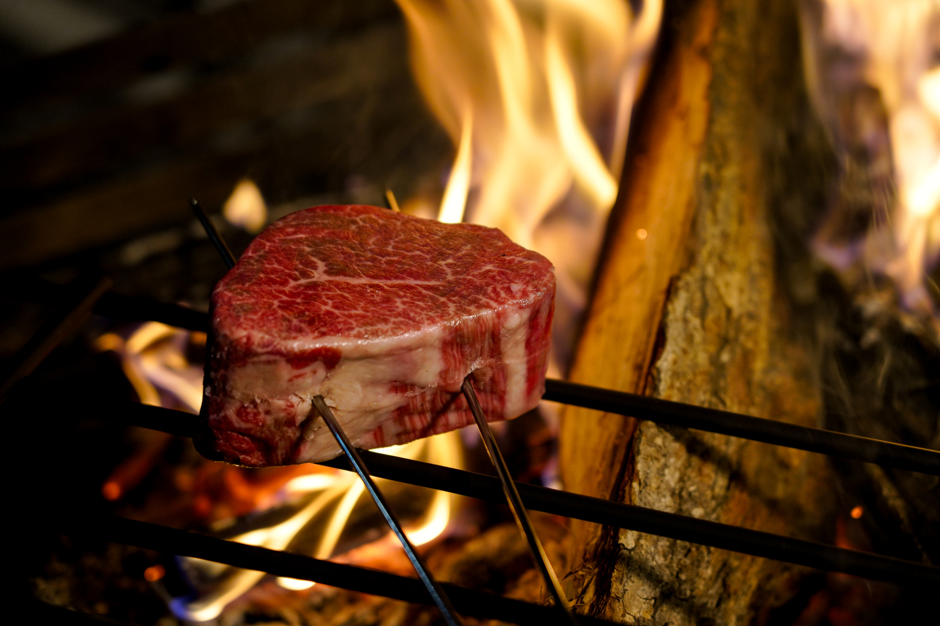 焚き火で焼き上げる国産和牛フィレステーキ