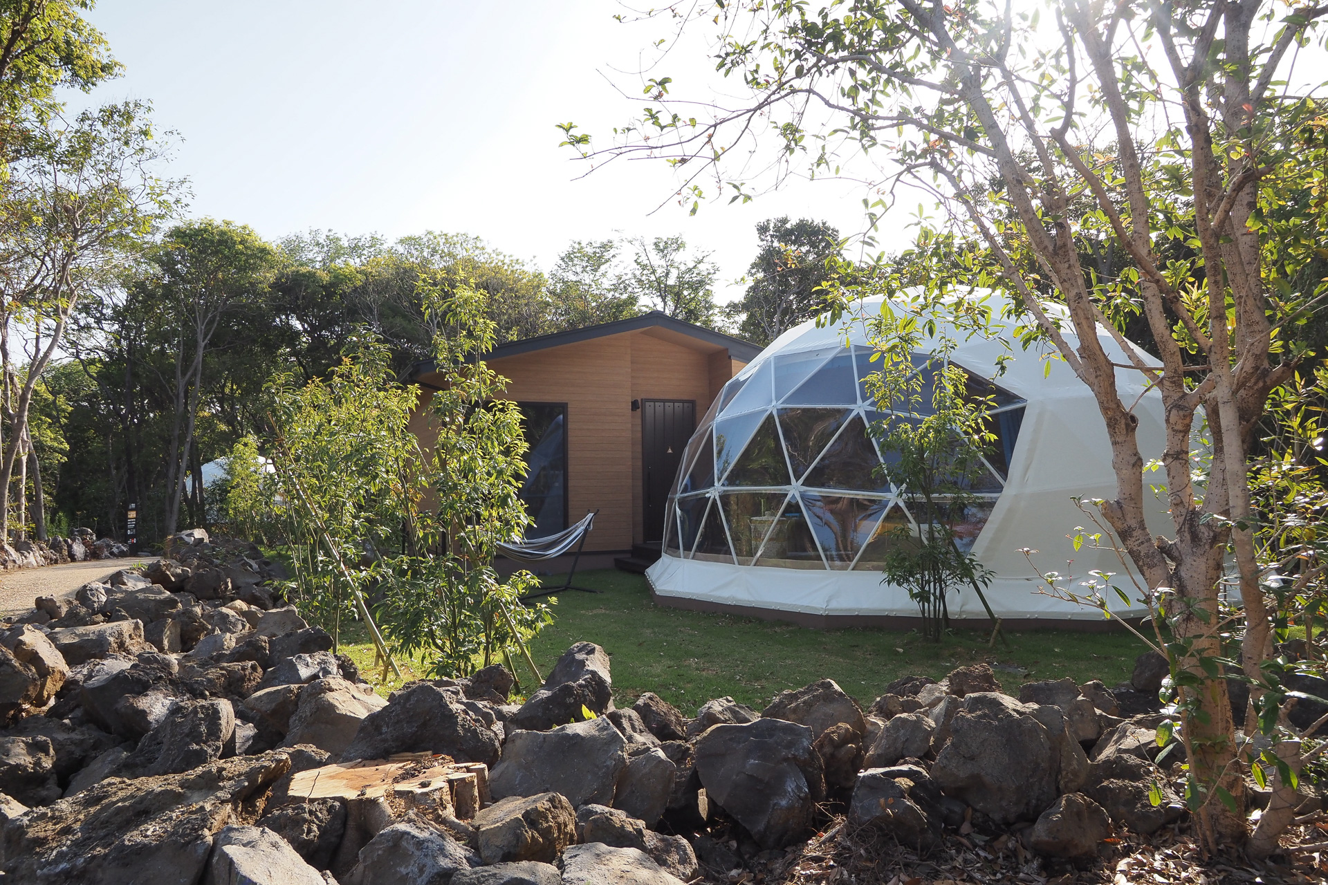 ワイルドウッドエリアは自然豊かな高台にあり木々に囲まれた空間