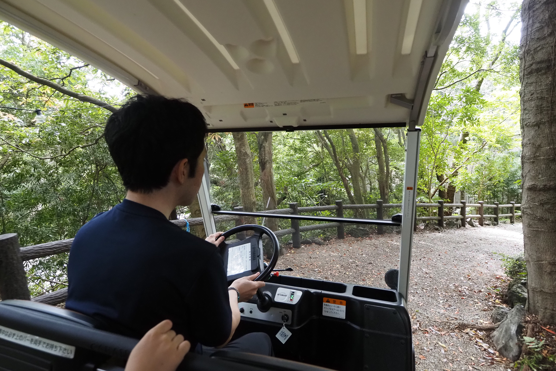 カートでは風を感じながら自然豊かな道を移動できる