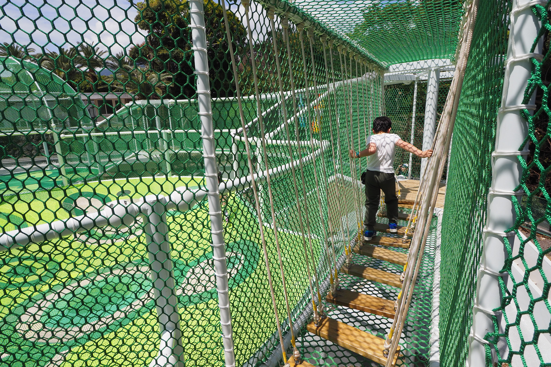 上には簡単なアスレチックコース。中央はすり鉢状になっており、下に降りる入り口が数か所ある