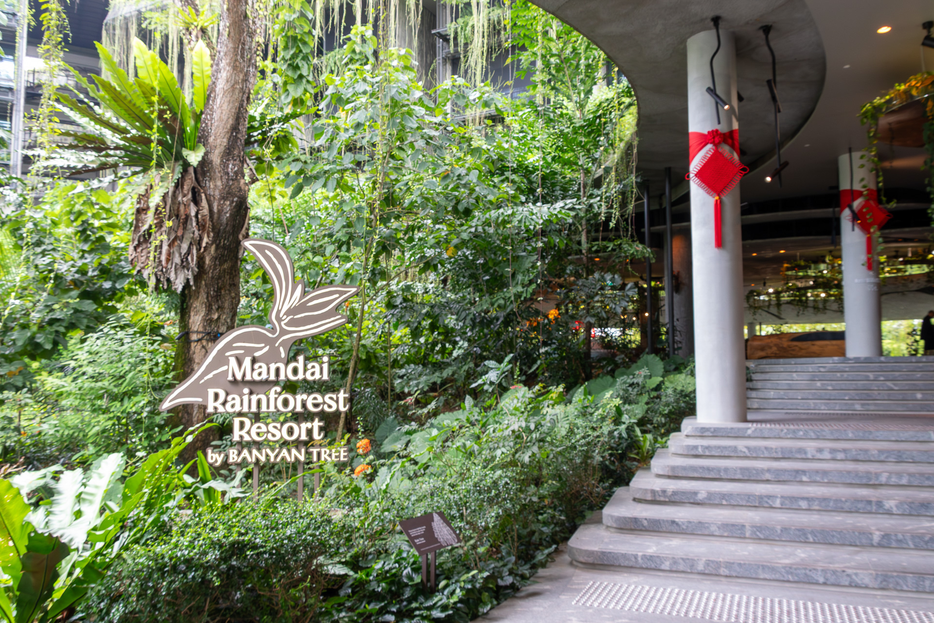 2025年オープンの「マンダイ レインフォレスト リゾート by バンヤンツリー（Mandai Rainforest Resort by Banyan Tree）」