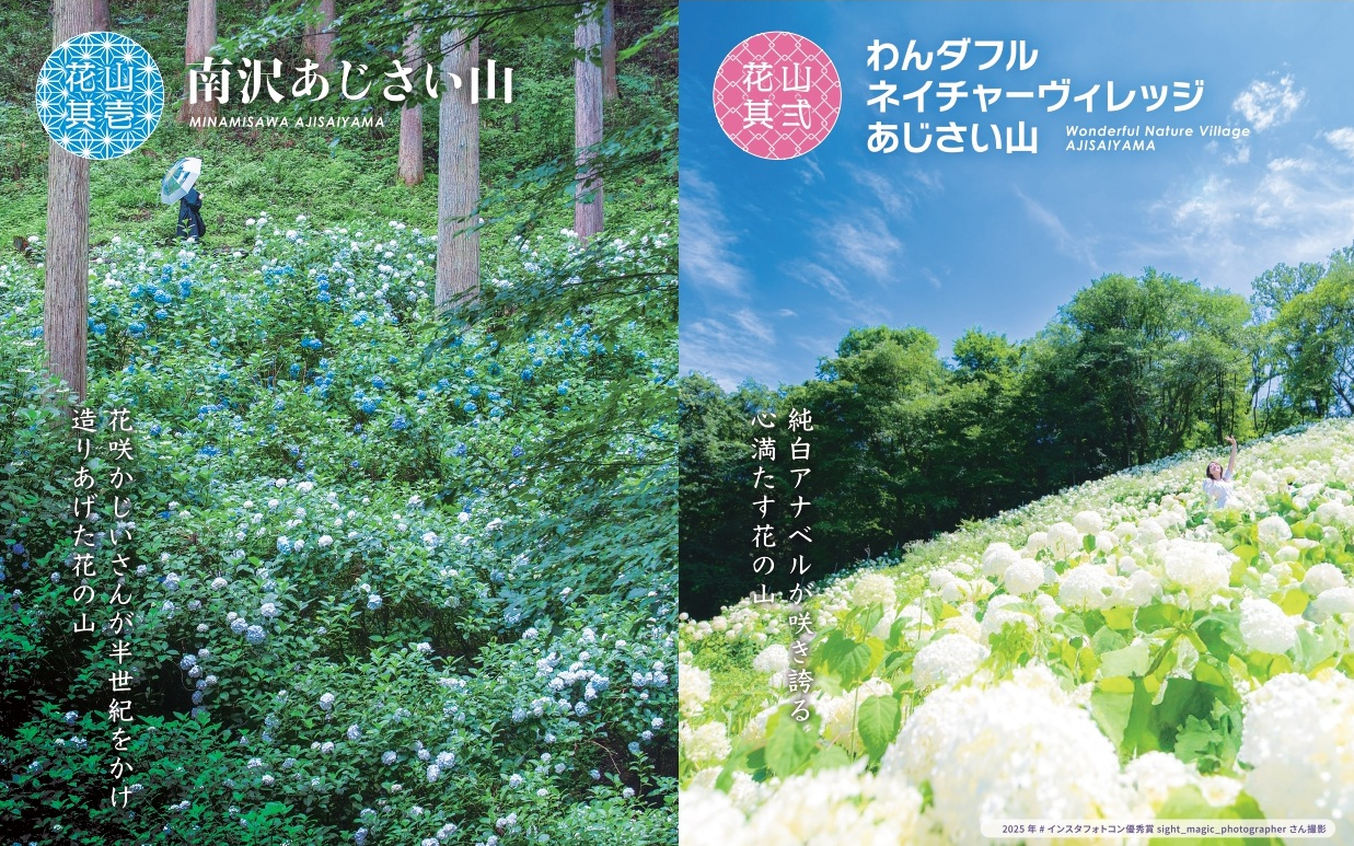 東京都あきる野市にある2つのあじさい山で「秋川渓谷あじさいまつり2026」開催