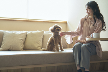 星野リゾートは全国の愛犬と泊まれる42施設で規約を改定した