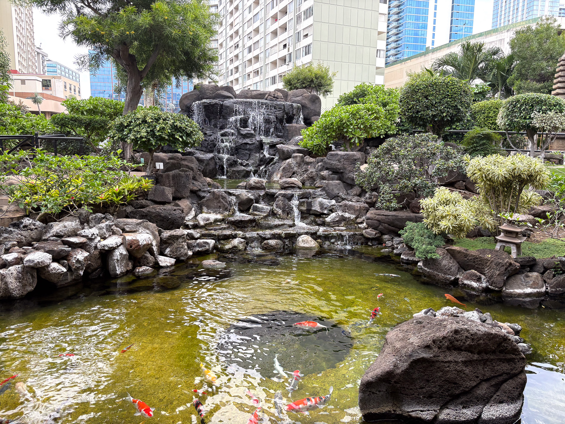 庭園の一部。建物を囲むように大きな池があり、200匹の錦鯉が泳いでいる