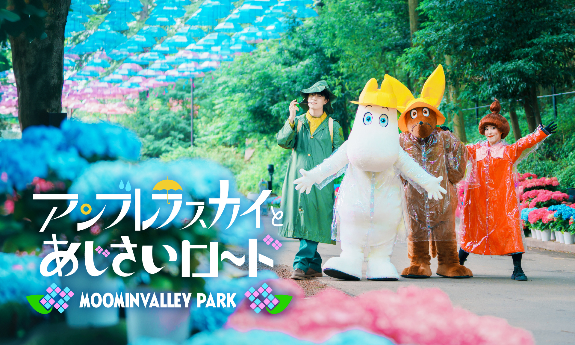 初夏限定イベント「アンブレラスカイとあじさいロード」