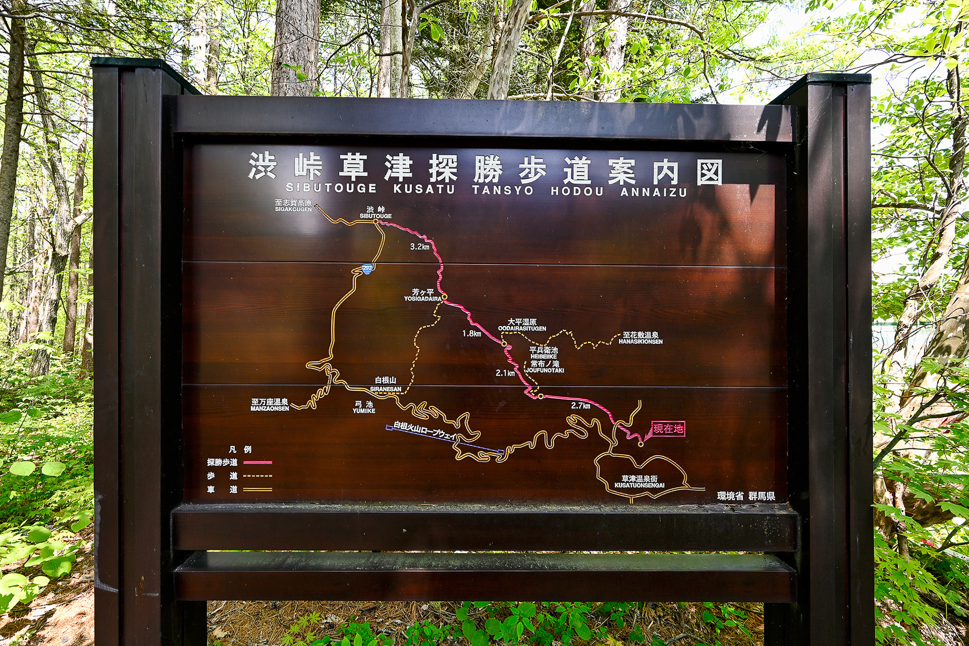 周辺には「森の癒し歩道」が設けられた国有林が広がり、四季折々に変化する自然のなかで森林浴や散策を楽しめる