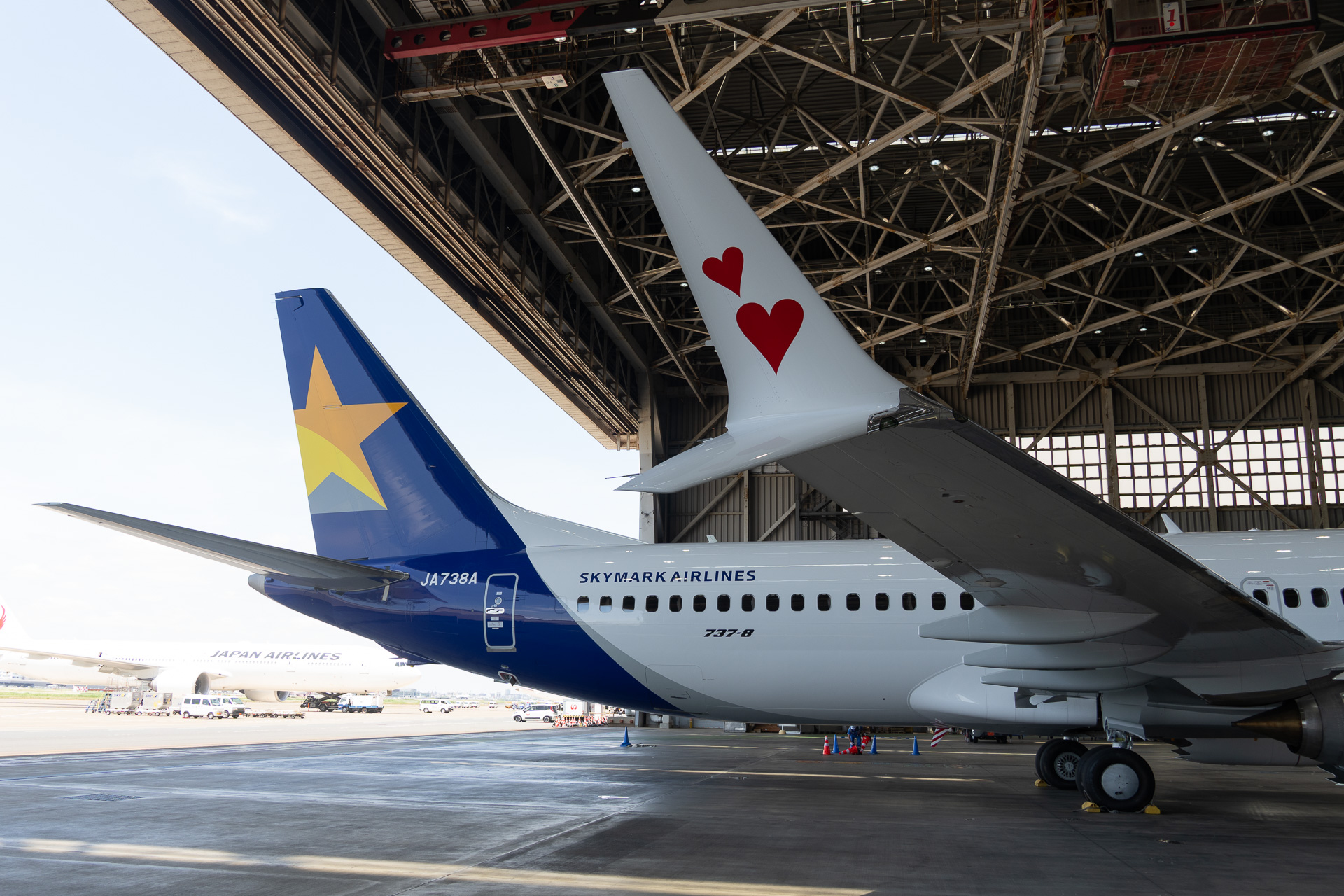 尾翼とウイングレット。以前からスカイマークの737-800のウイングレットにはハートなどの絵柄を描いているが、この機体ではハートが2つになっている