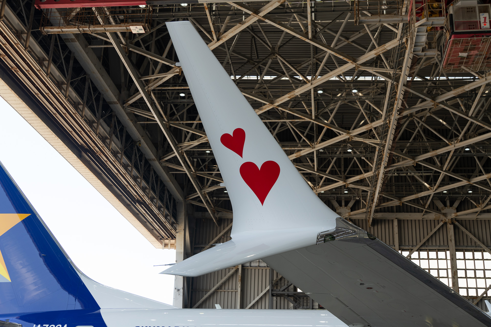 尾翼とウイングレット。以前からスカイマークの737-800のウイングレットにはハートなどの絵柄を描いているが、この機体ではハートが2つになっている