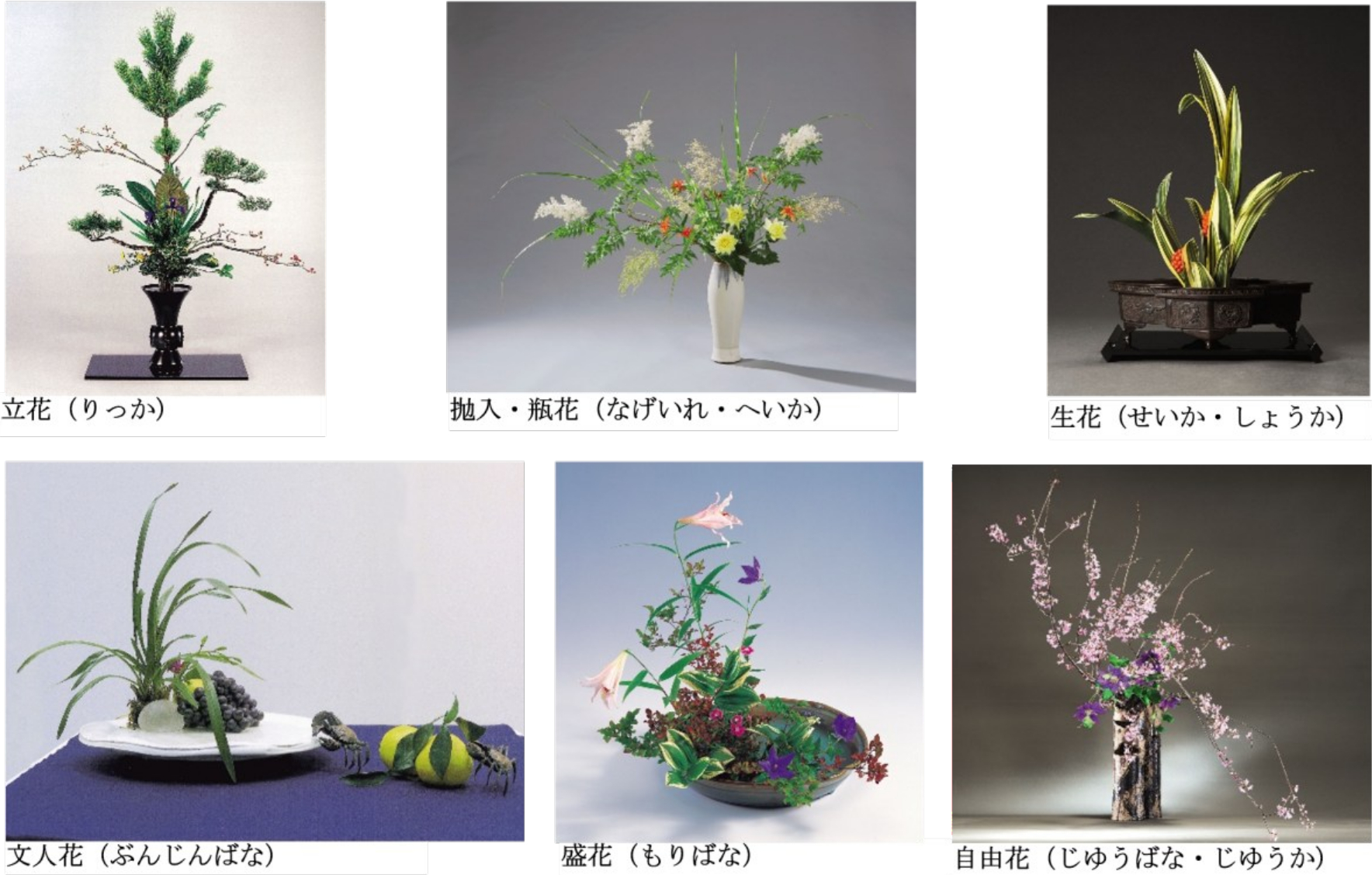 いけばな展示では、草月流、池坊、龍生派、小原流など、日本いけばな芸術協会に所属する各流派の家元が参加。期間ごとに6つの花型のうち1型ずつ作品を展示予定