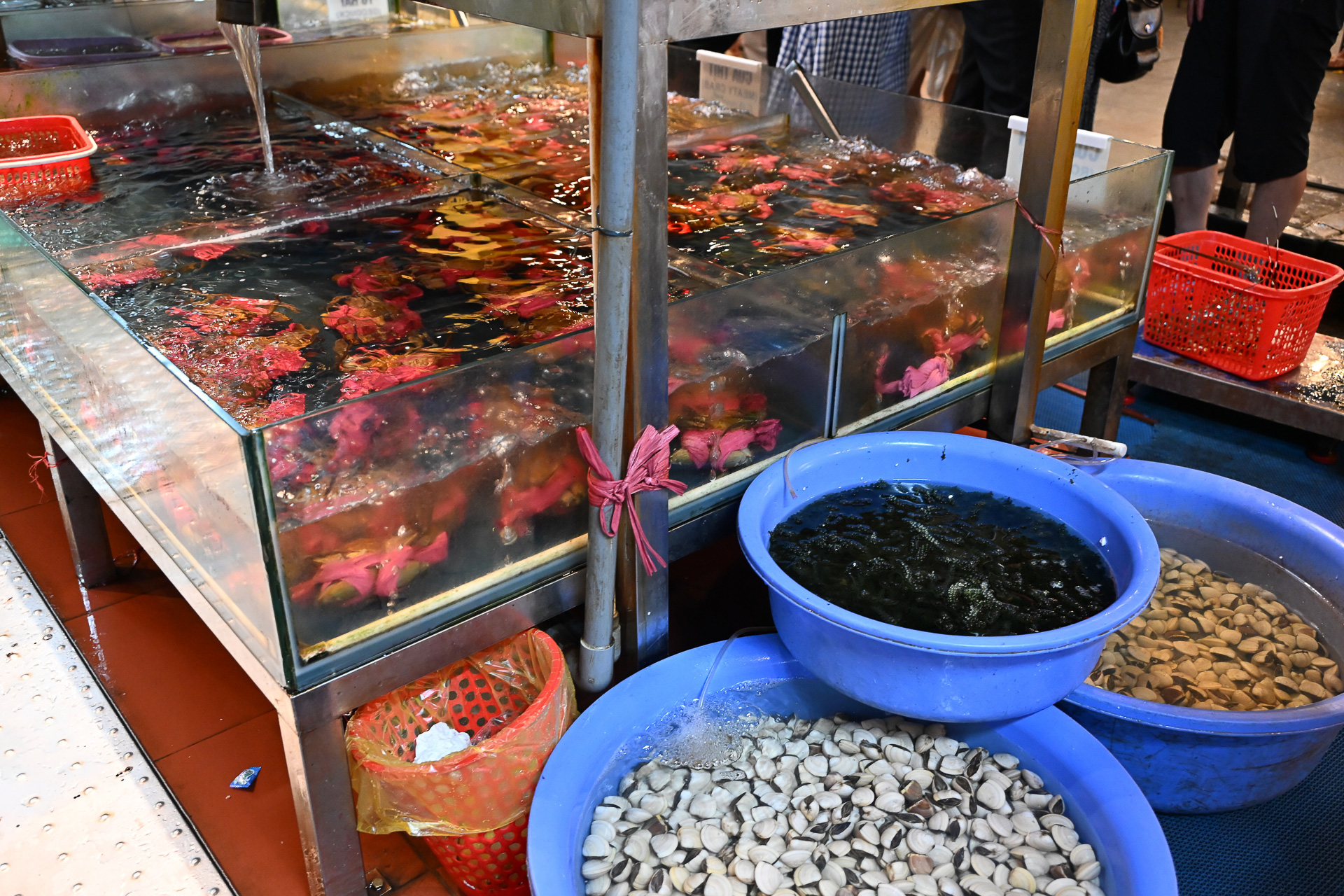 店内の水槽には活きのいいカニやエビが