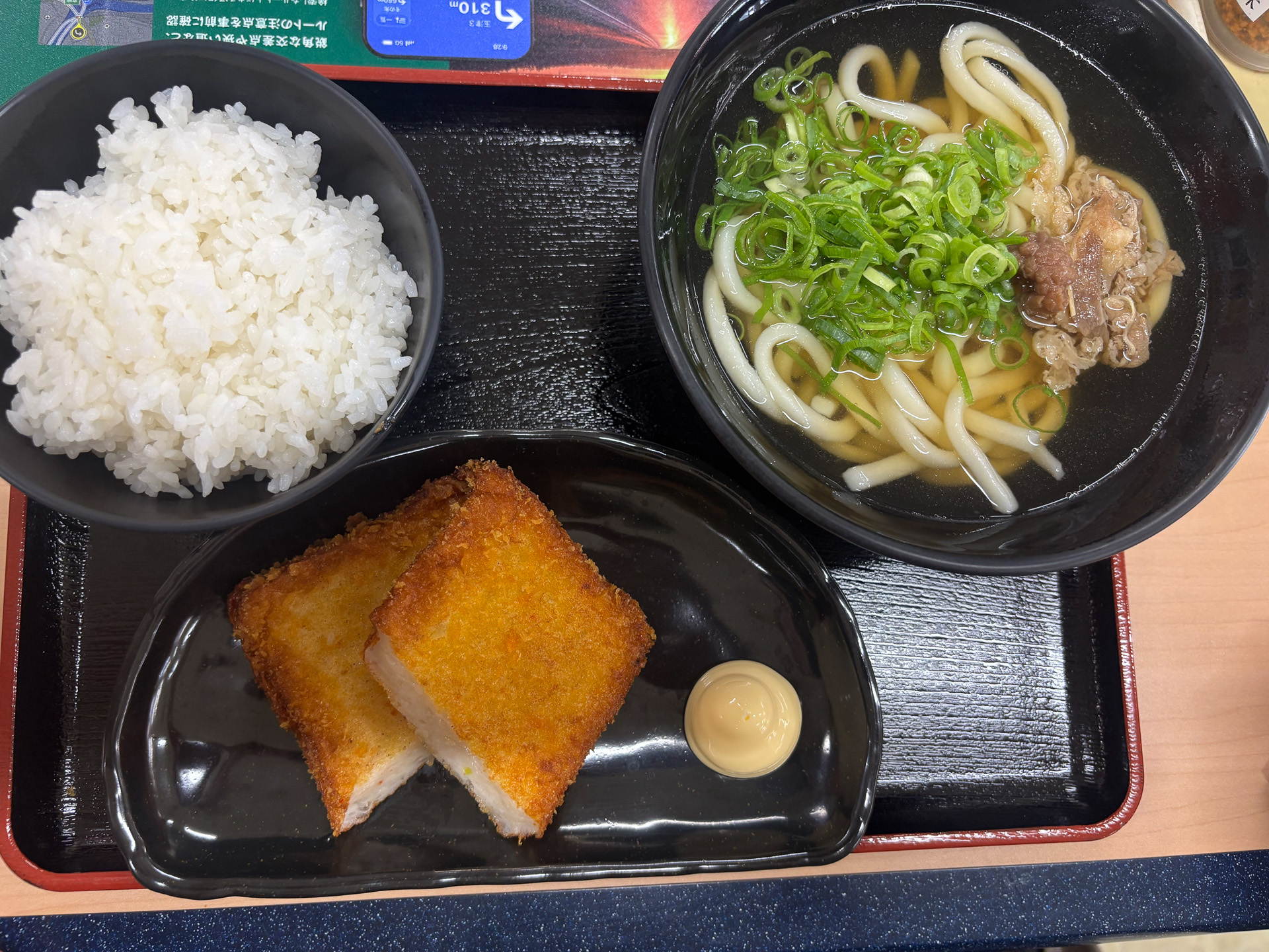 よくばりがんす天セット