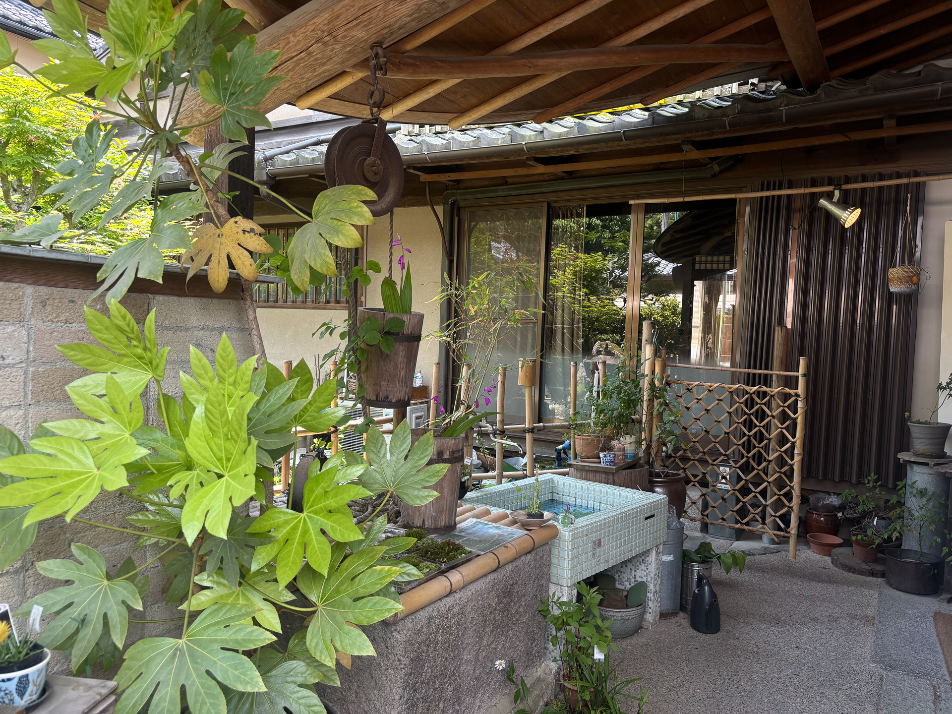 Qu-an（クアン）