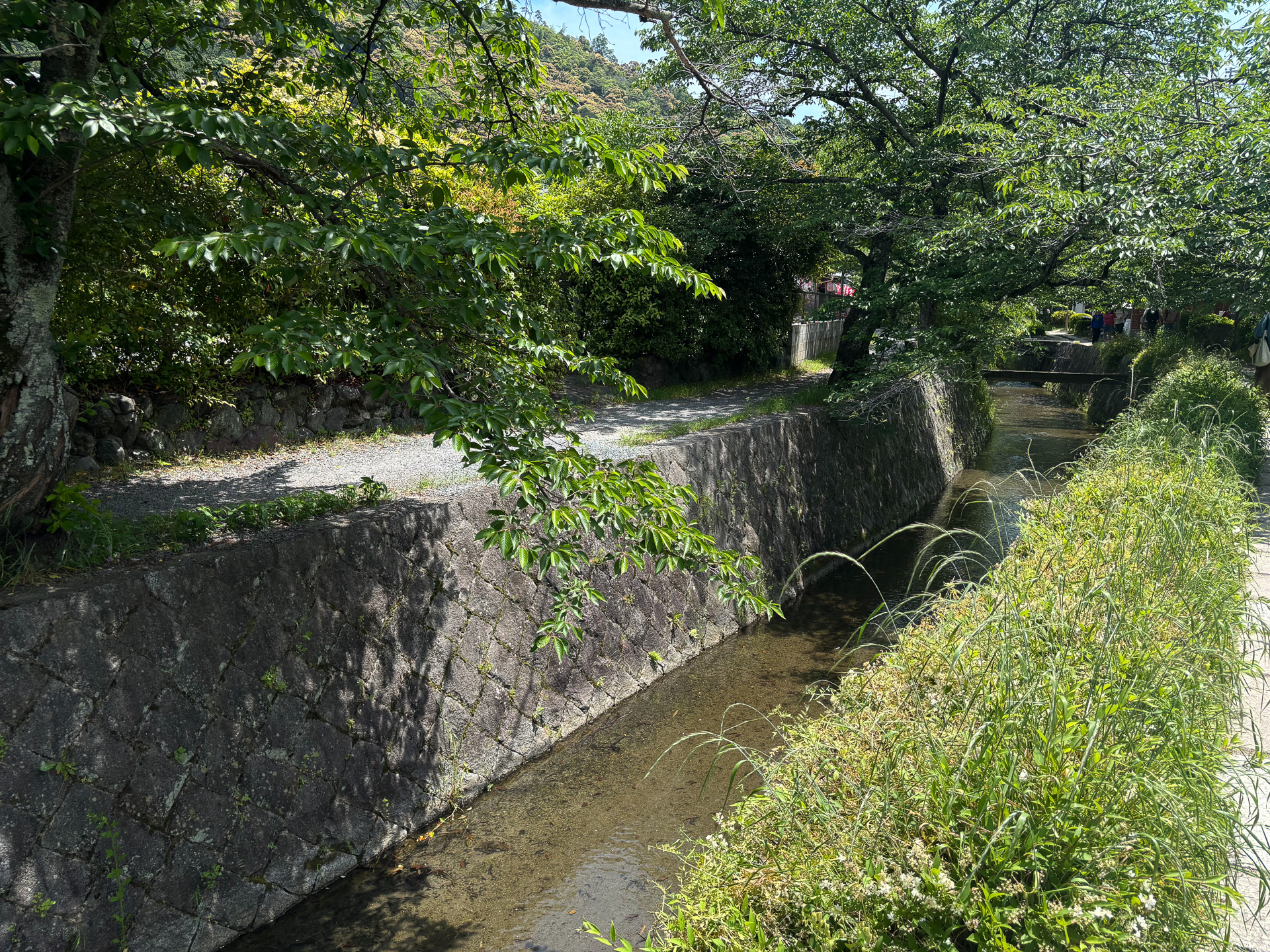 哲学の道